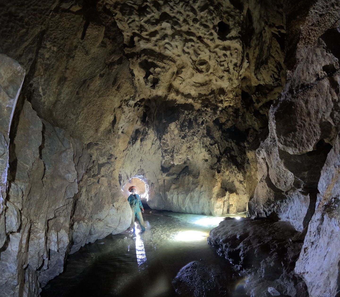 🌞今日も快晴！でも、暑さに負けず楽しく過ごしたいですよね！そ...