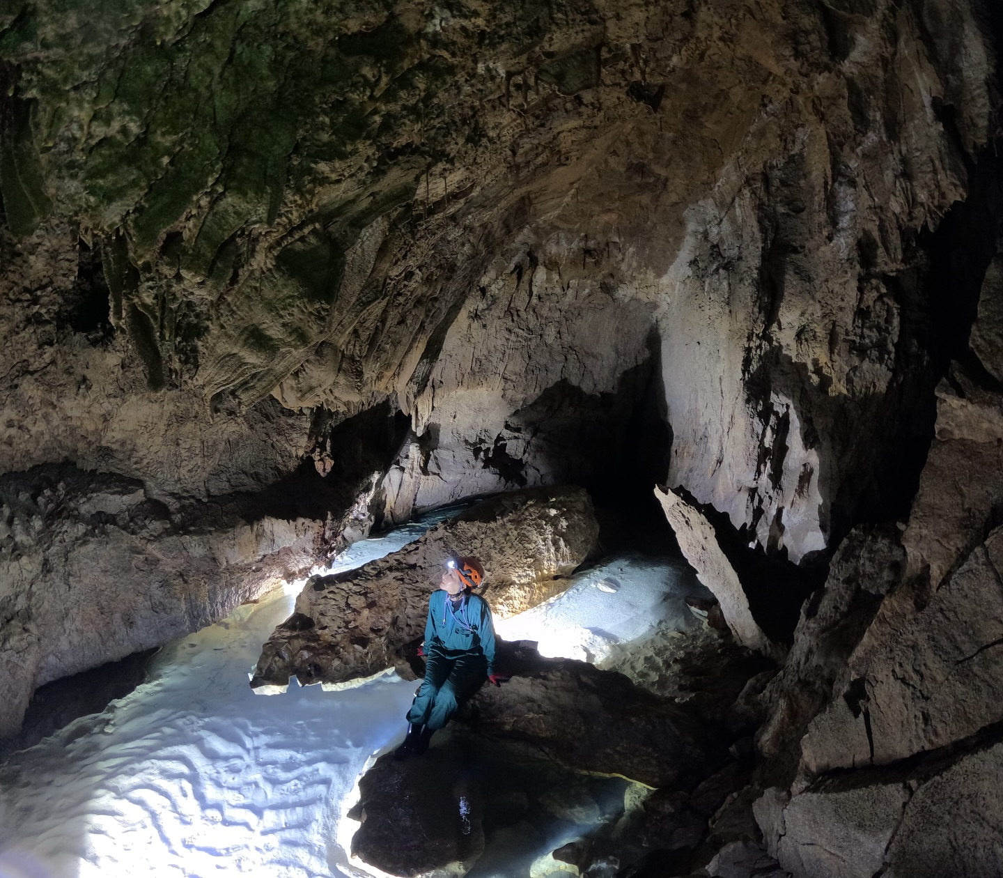 🌞今日も快晴！でも、暑さに負けず楽しく過ごしたいですよね！そ...
