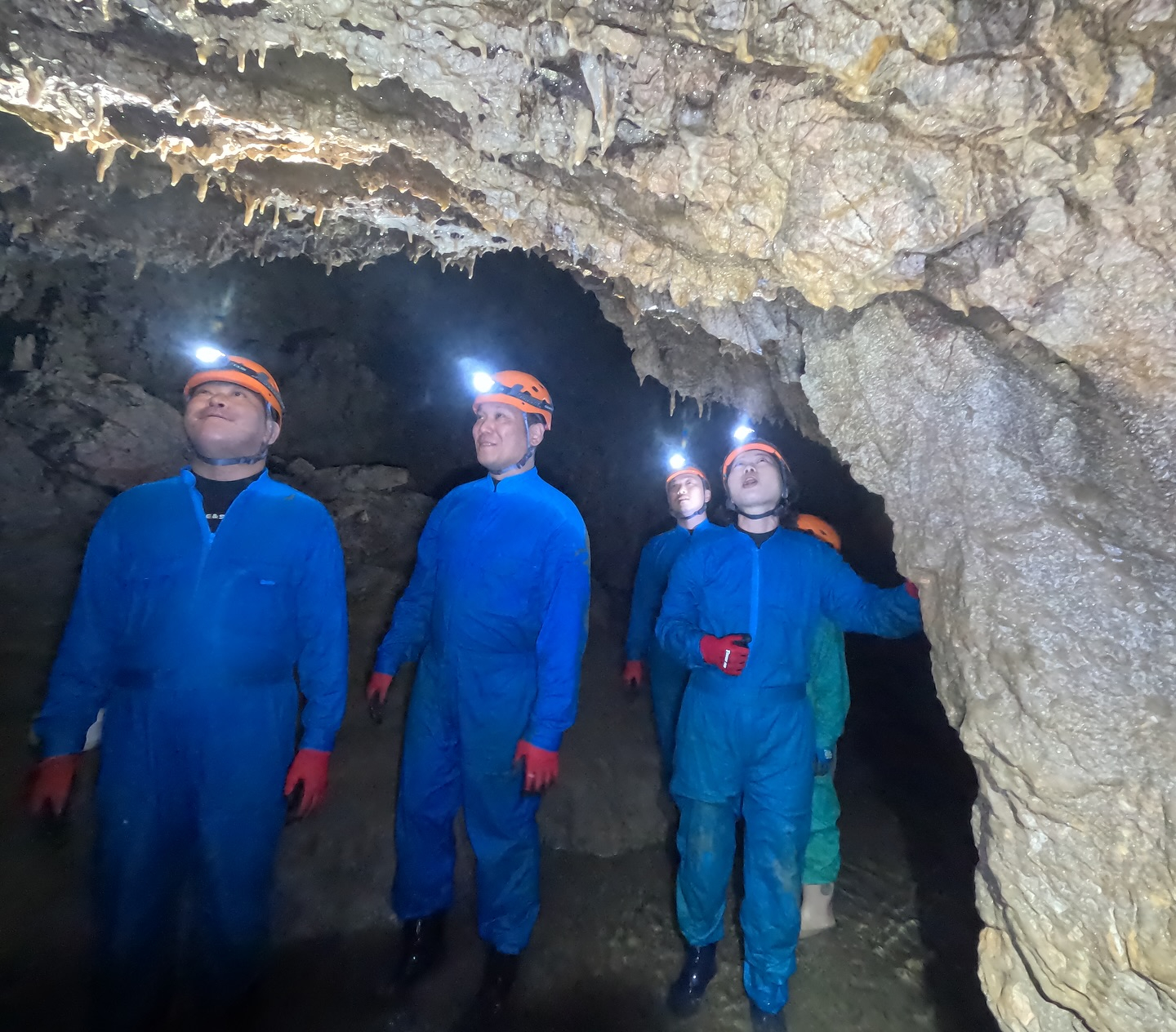 今日はリピーター様と初めてツアーに参加したお客様と一緒に、ワ...