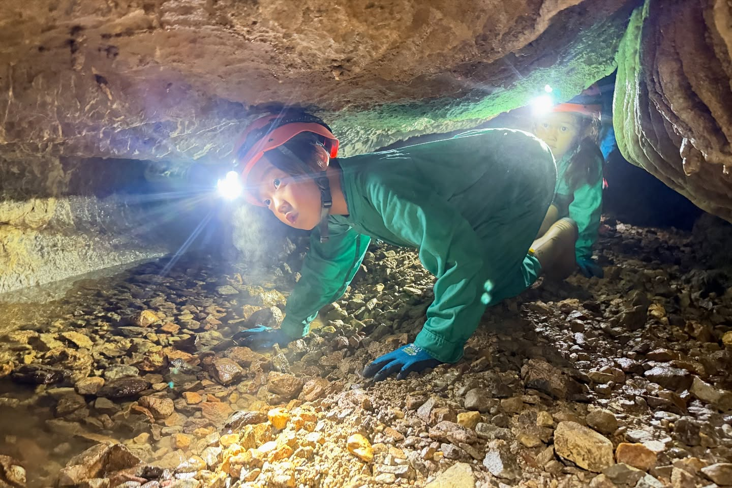 今日は夏のような暑さ🌞