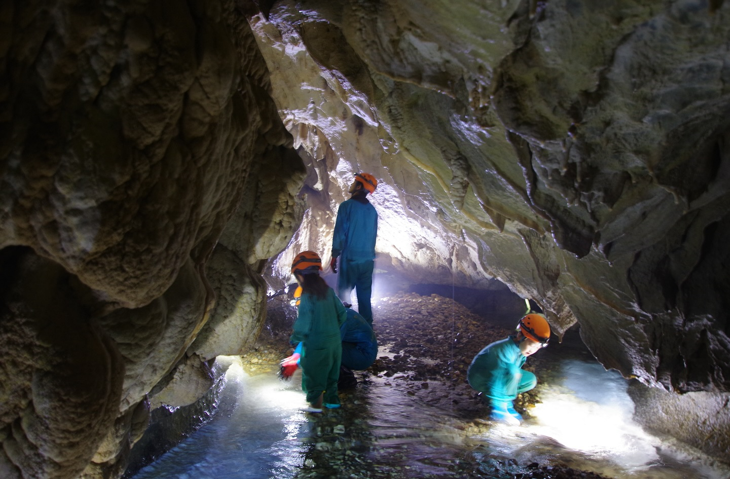 今日は夏のような暑さ🌞