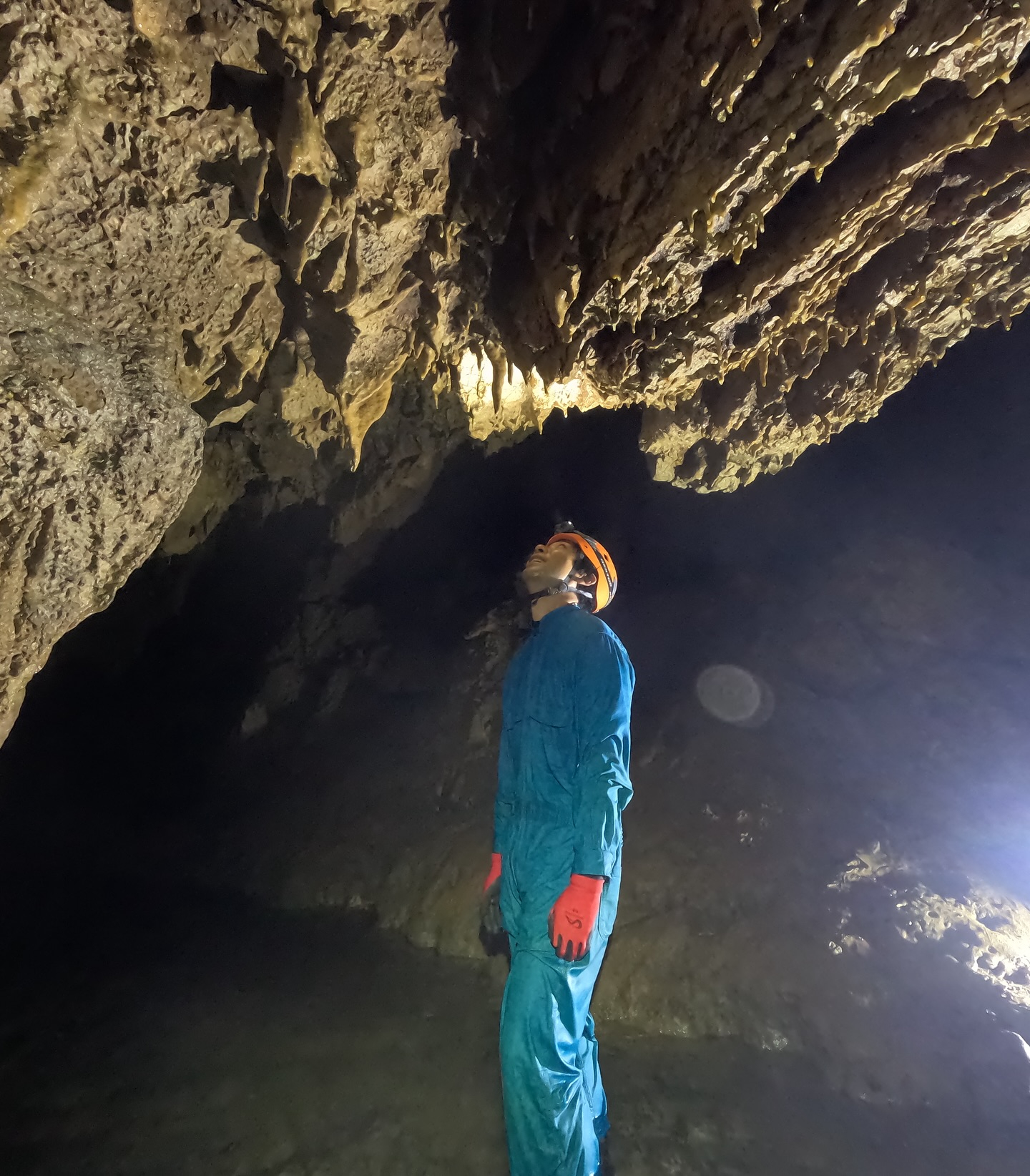 【1日しっかり遊べる！満喫ツアー✨】