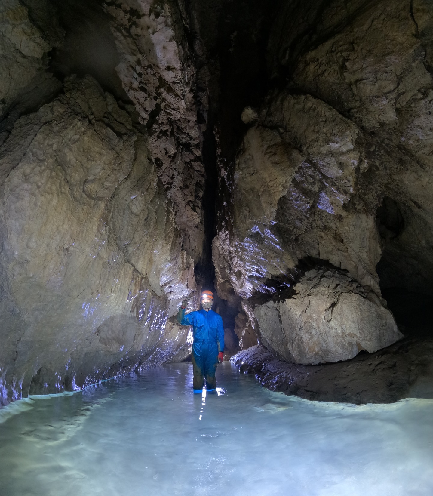 【1日しっかり遊べる！満喫ツアー✨】