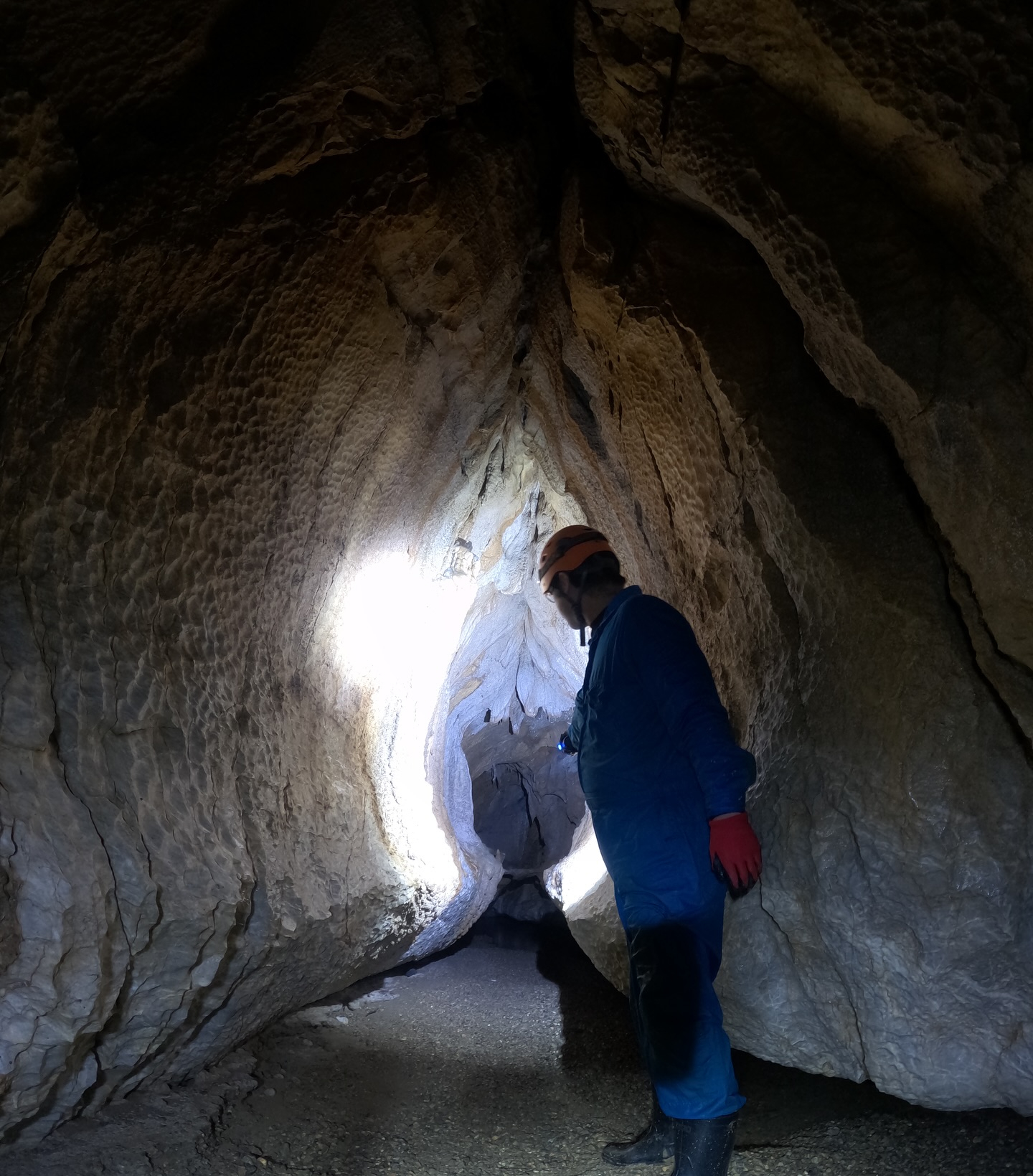 【全国の鍾乳洞をめぐるお客様がご来洞!🕳️】