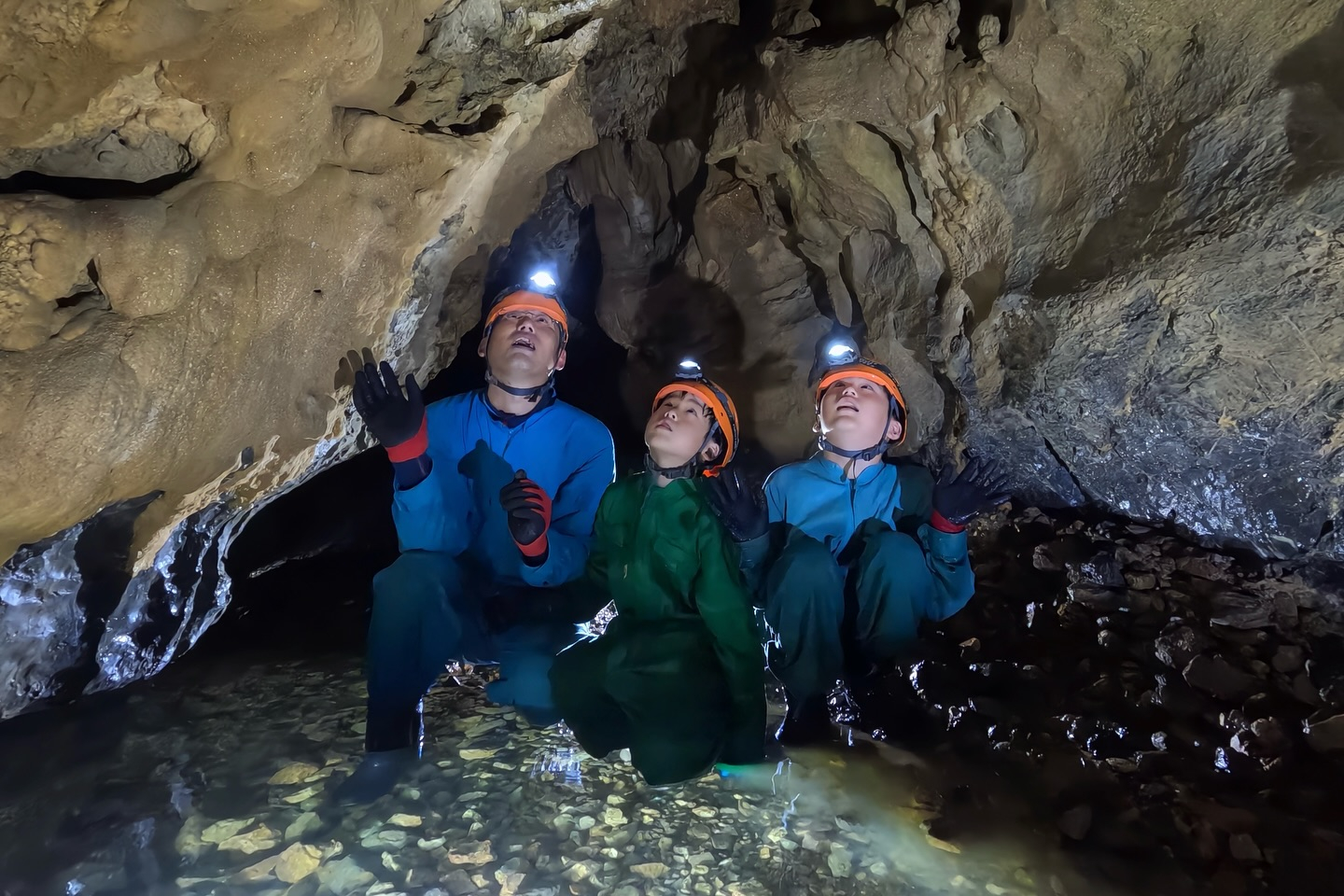 🌿 今日も沢山のお客様！