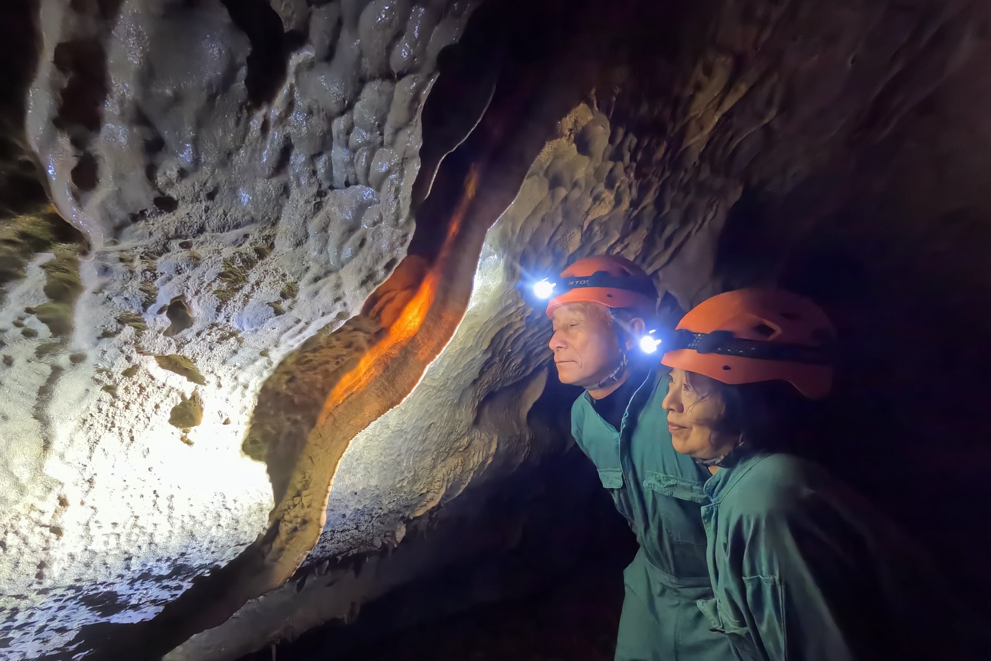 🌿 今日も沢山のお客様！