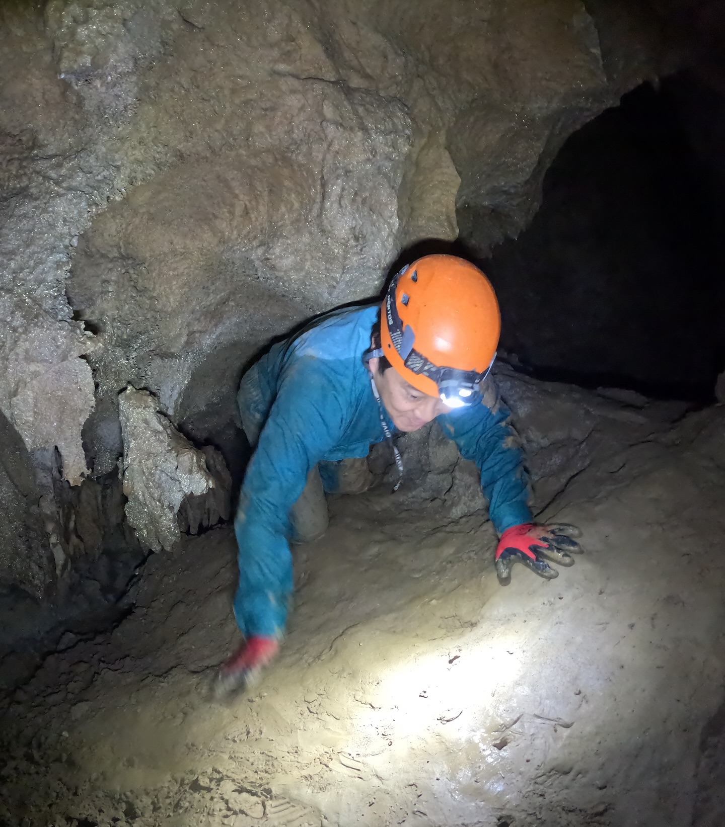 š» ćēä¼ćæćęēµę„ļ¼