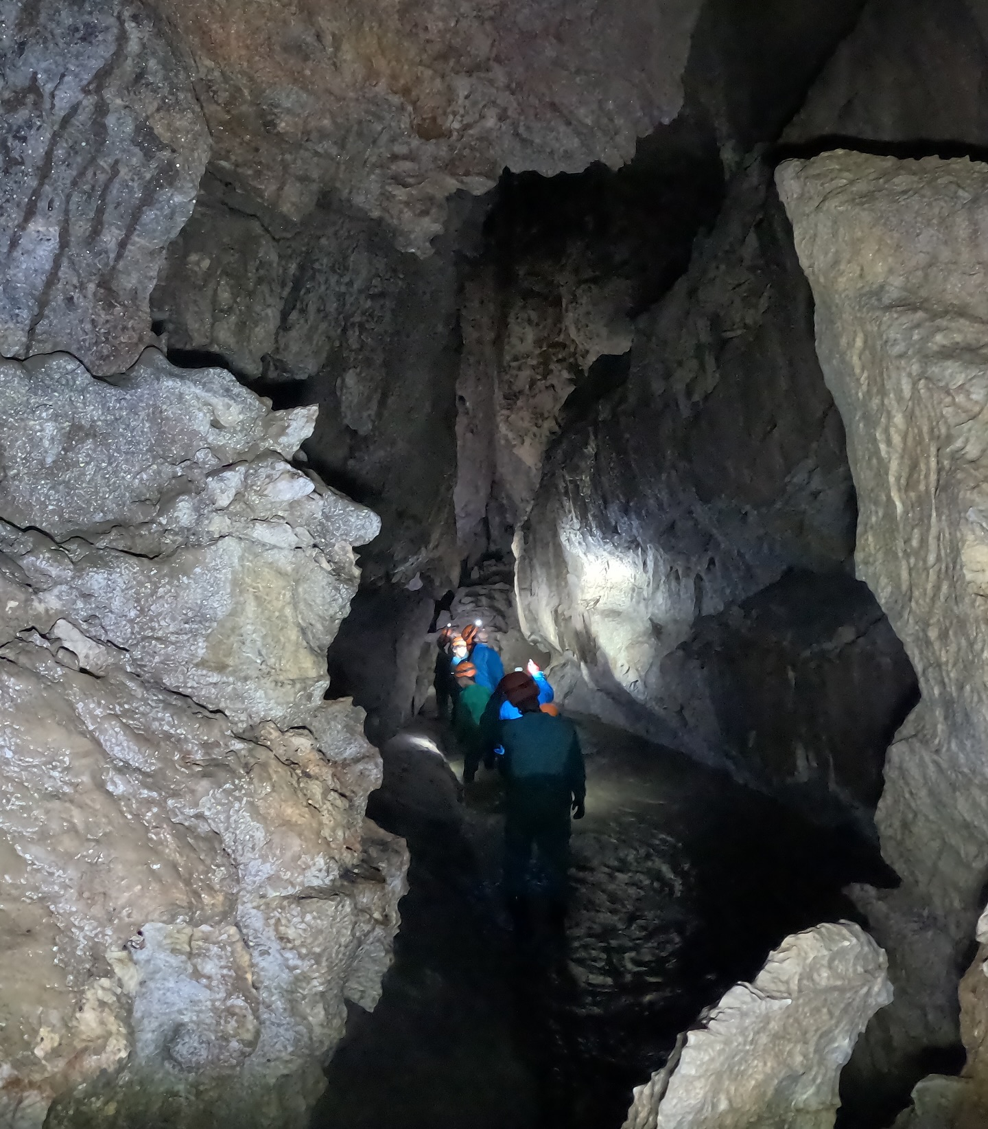 š» ćēä¼ćæćęēµę„ļ¼