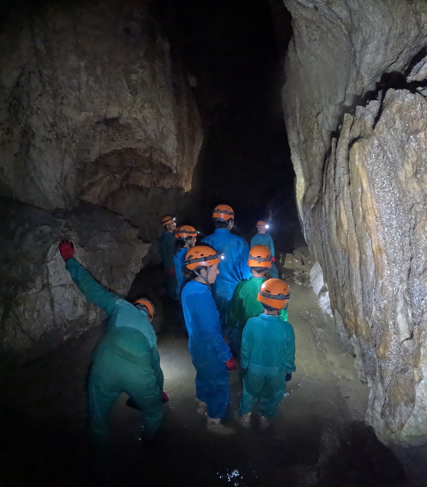 š» ćēä¼ćæćęēµę„ļ¼