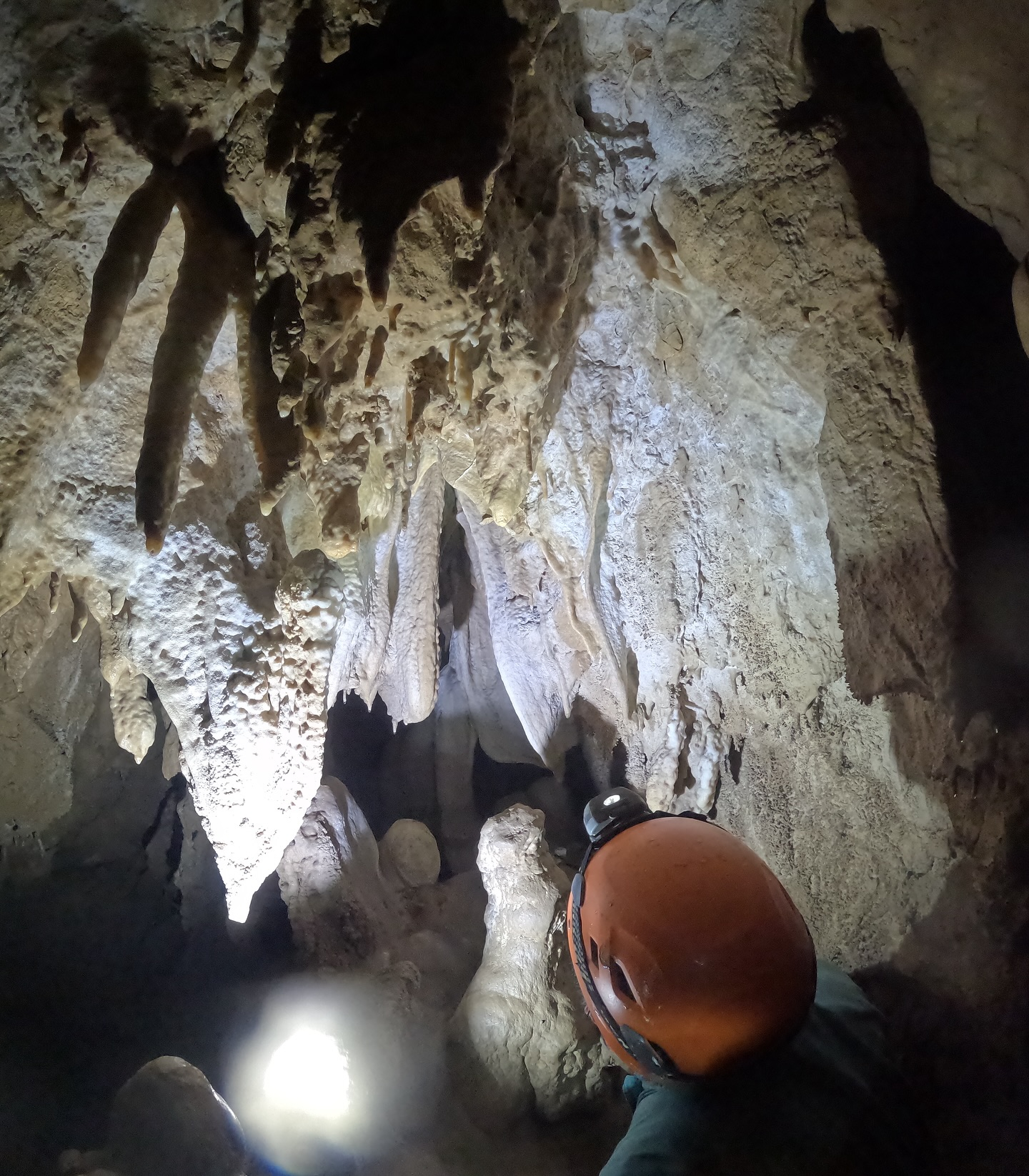 š» ćēä¼ćæćęēµę„ļ¼