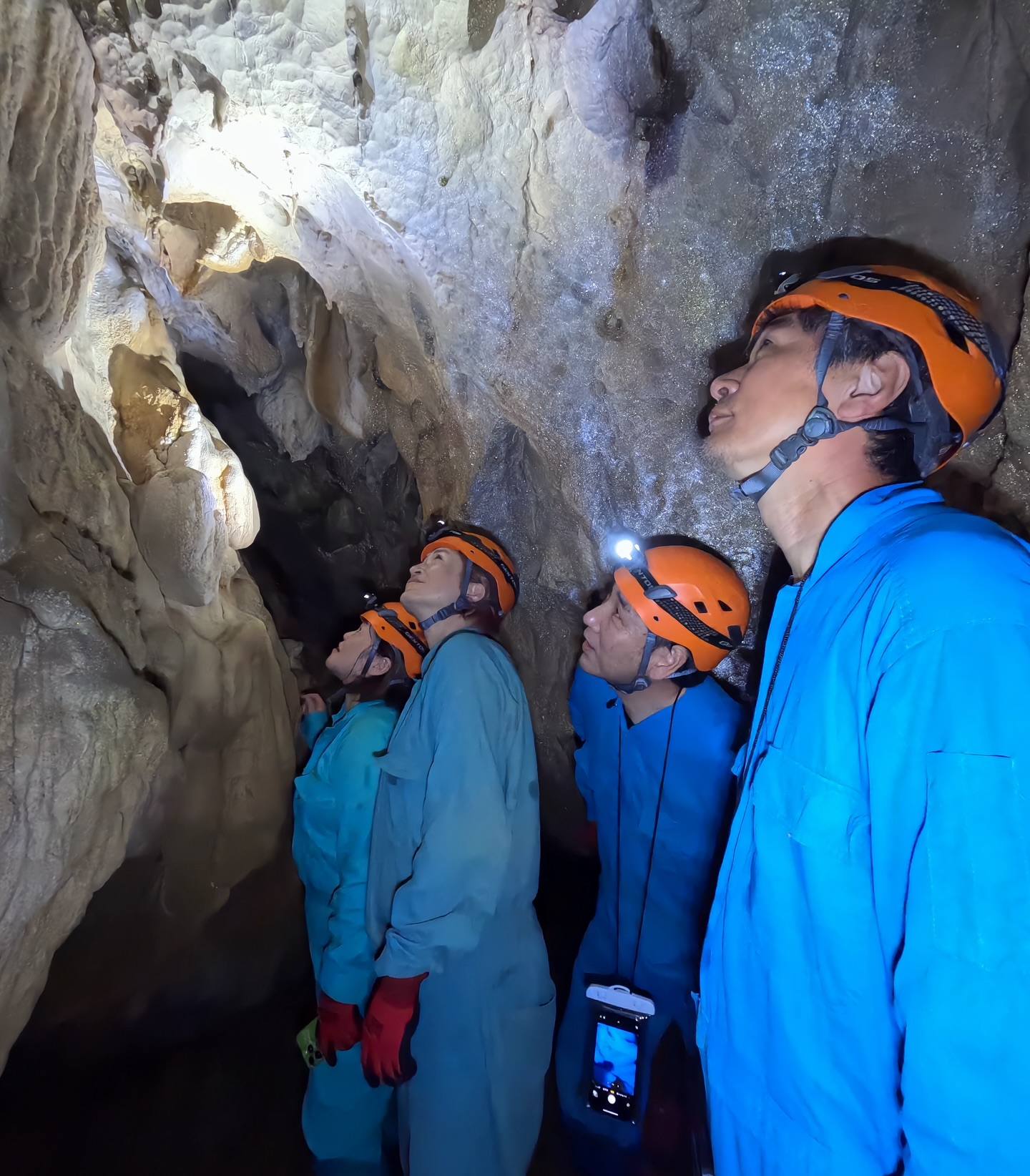 š» ćēä¼ćæćęēµę„ļ¼