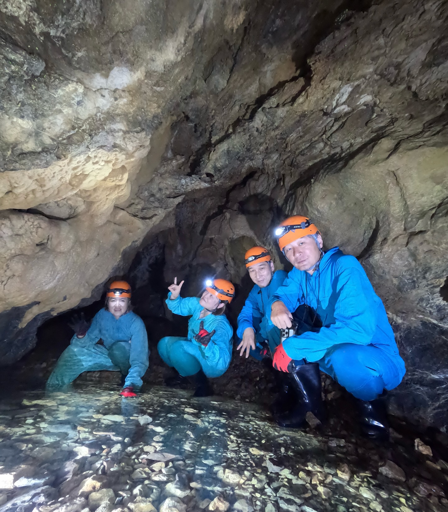 š» ćēä¼ćæćęēµę„ļ¼