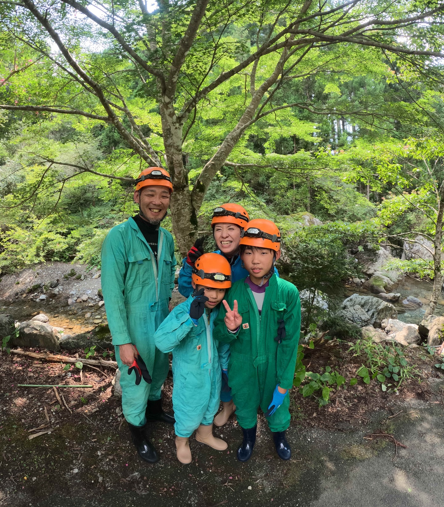 š» ćēä¼ćæćęēµę„ļ¼