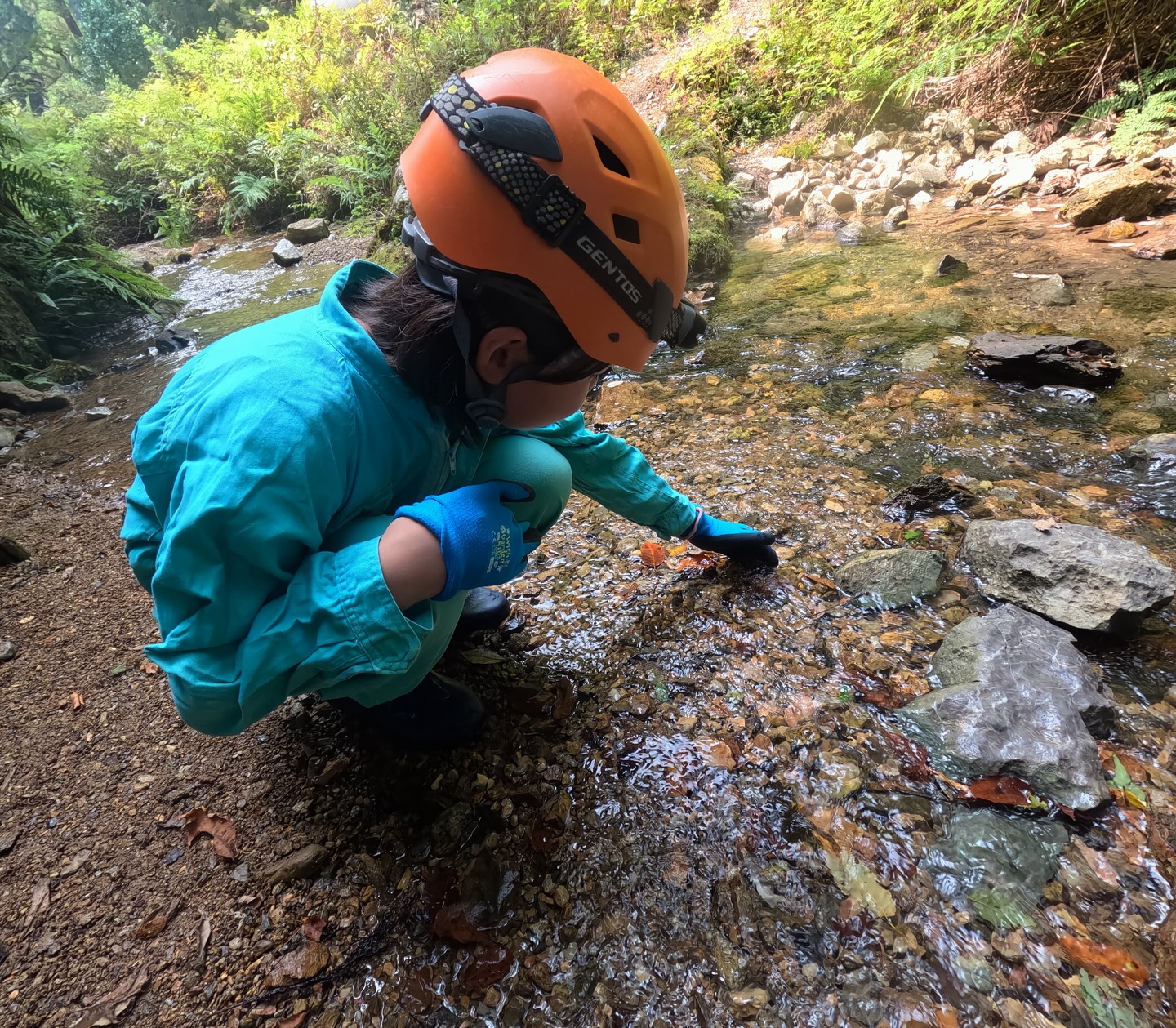 洞窟探検の入門編として大人気😊