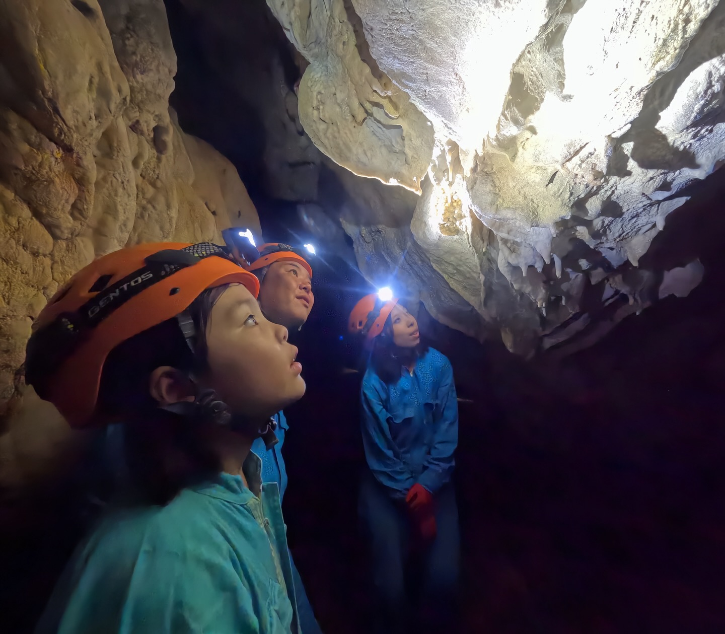 洞窟探検の入門編として大人気😊