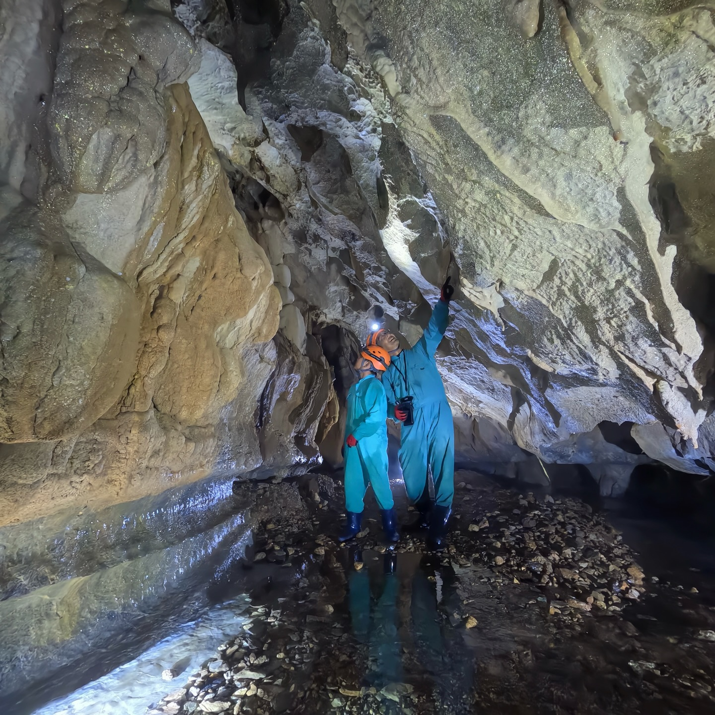 🌿今日は ケイビングBコース！