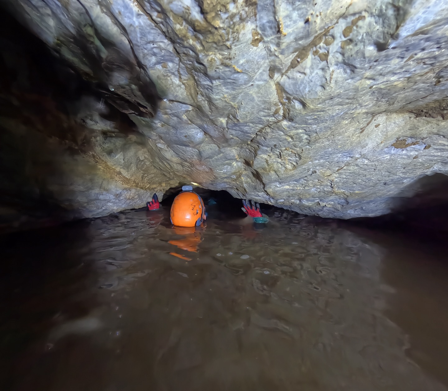 š ä»ę„ćÆć±ć¤ćć³ć°Ać³ć¼ć¹ļ¼