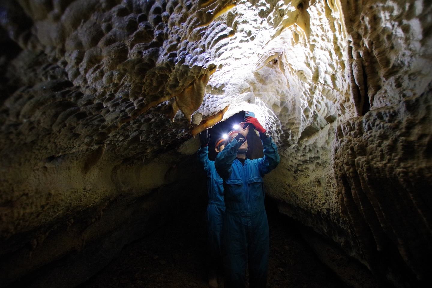 🌿 今日はケイビングBコース！