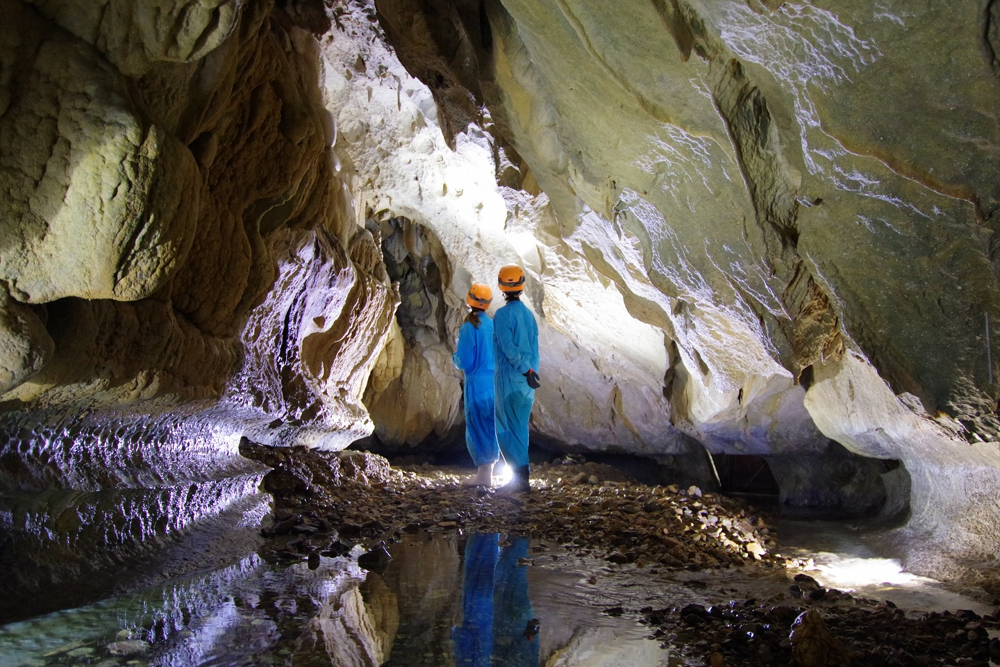 šæ ä»ę„ćÆć±ć¤ćć³ć°Bć³ć¼ć¹ļ¼