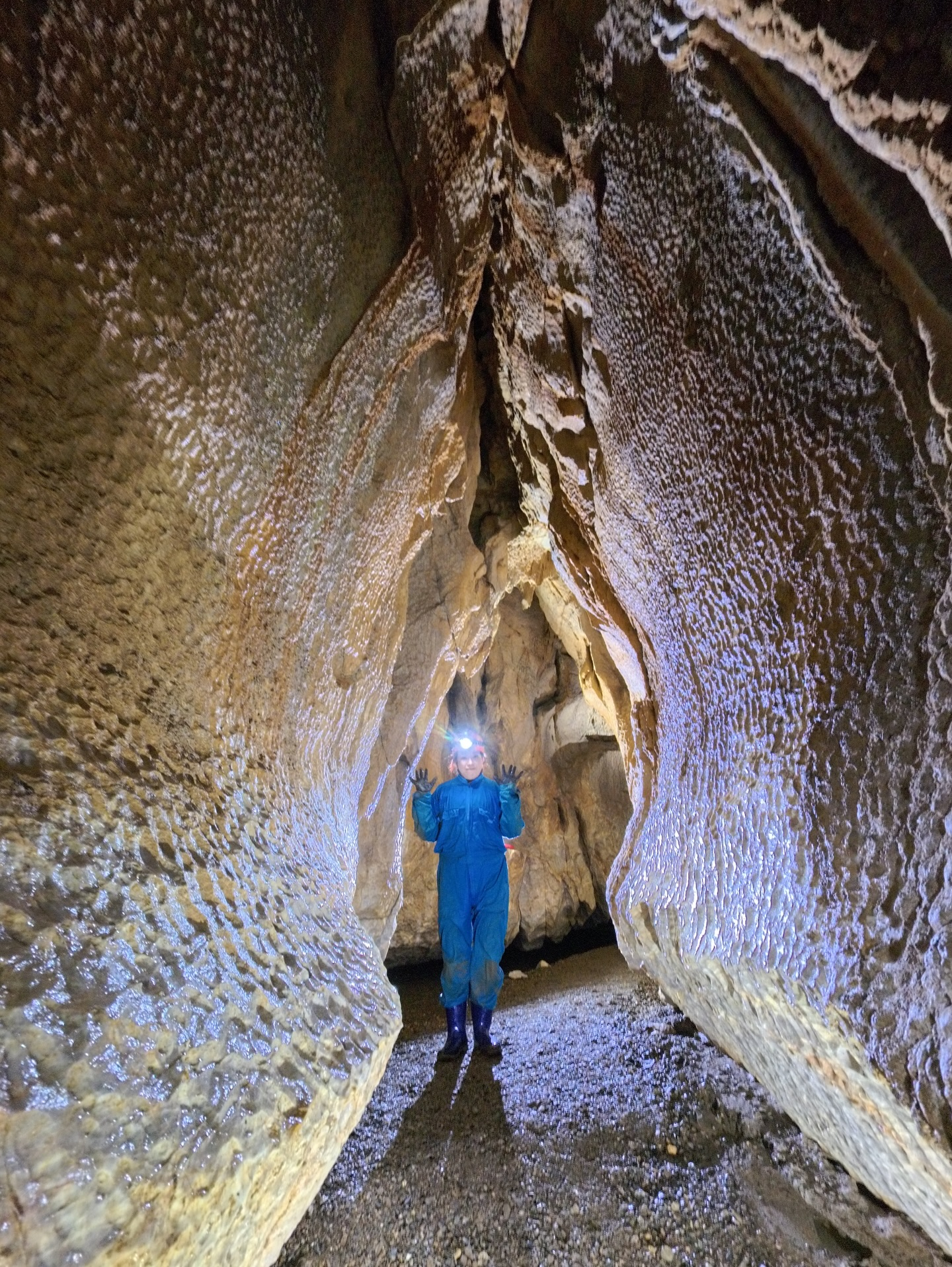 šä»ę„ćÆååćåå¾ć ć±ć¤ćć³ć°Ać³ć¼ć¹ļ¼