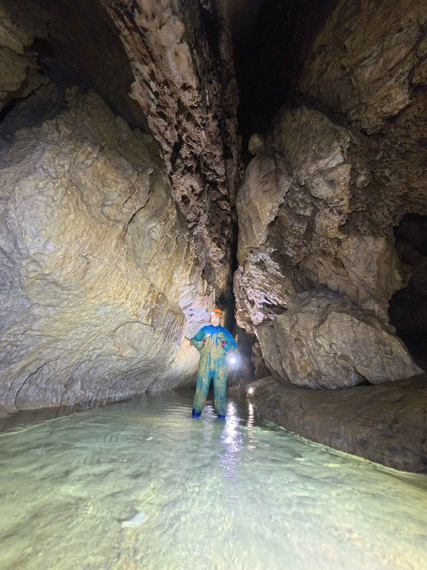 šä»ę„ćÆååćåå¾ć ć±ć¤ćć³ć°Ać³ć¼ć¹ļ¼