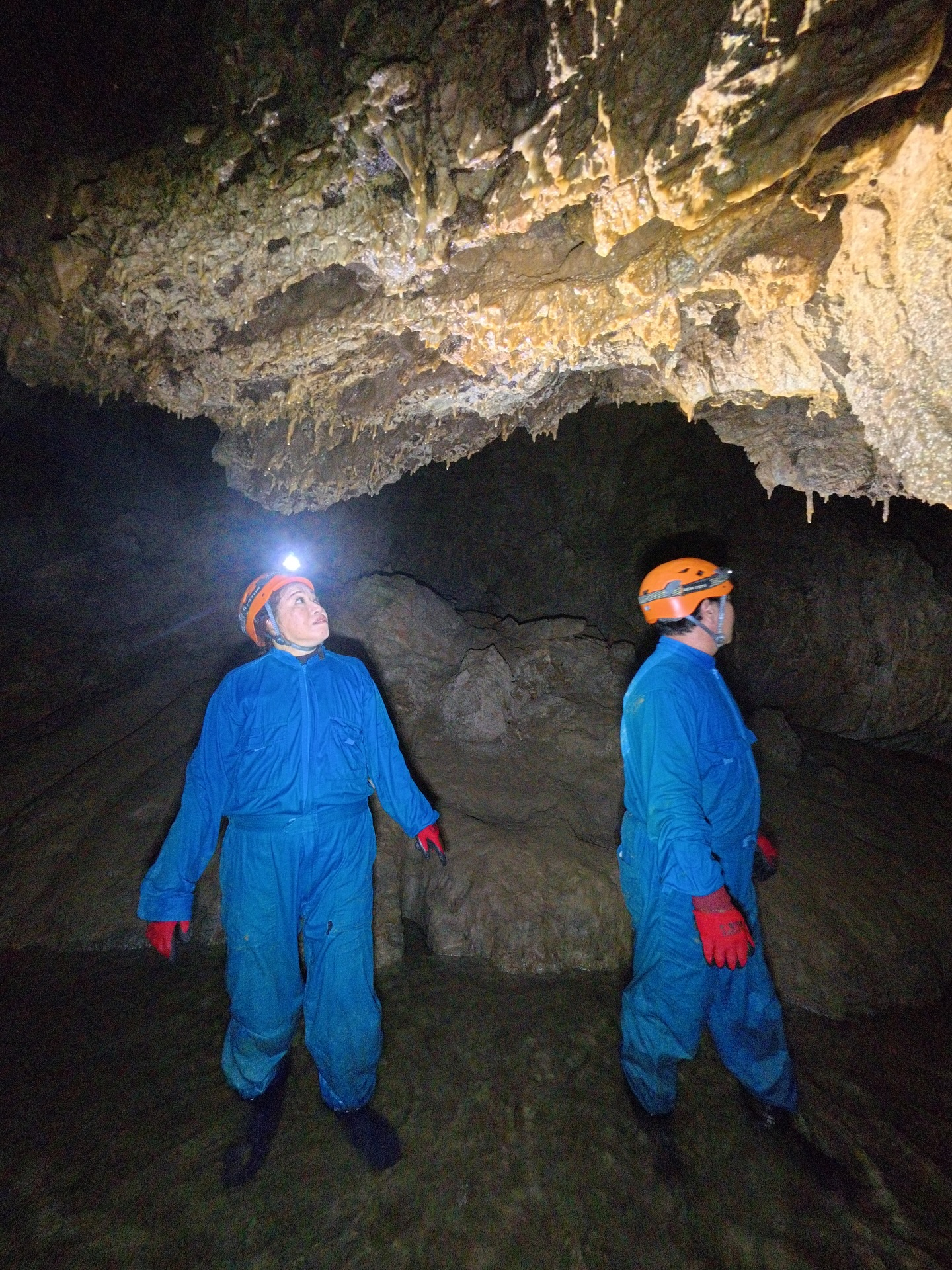 šä»ę„ćÆååćåå¾ć ć±ć¤ćć³ć°Ać³ć¼ć¹ļ¼