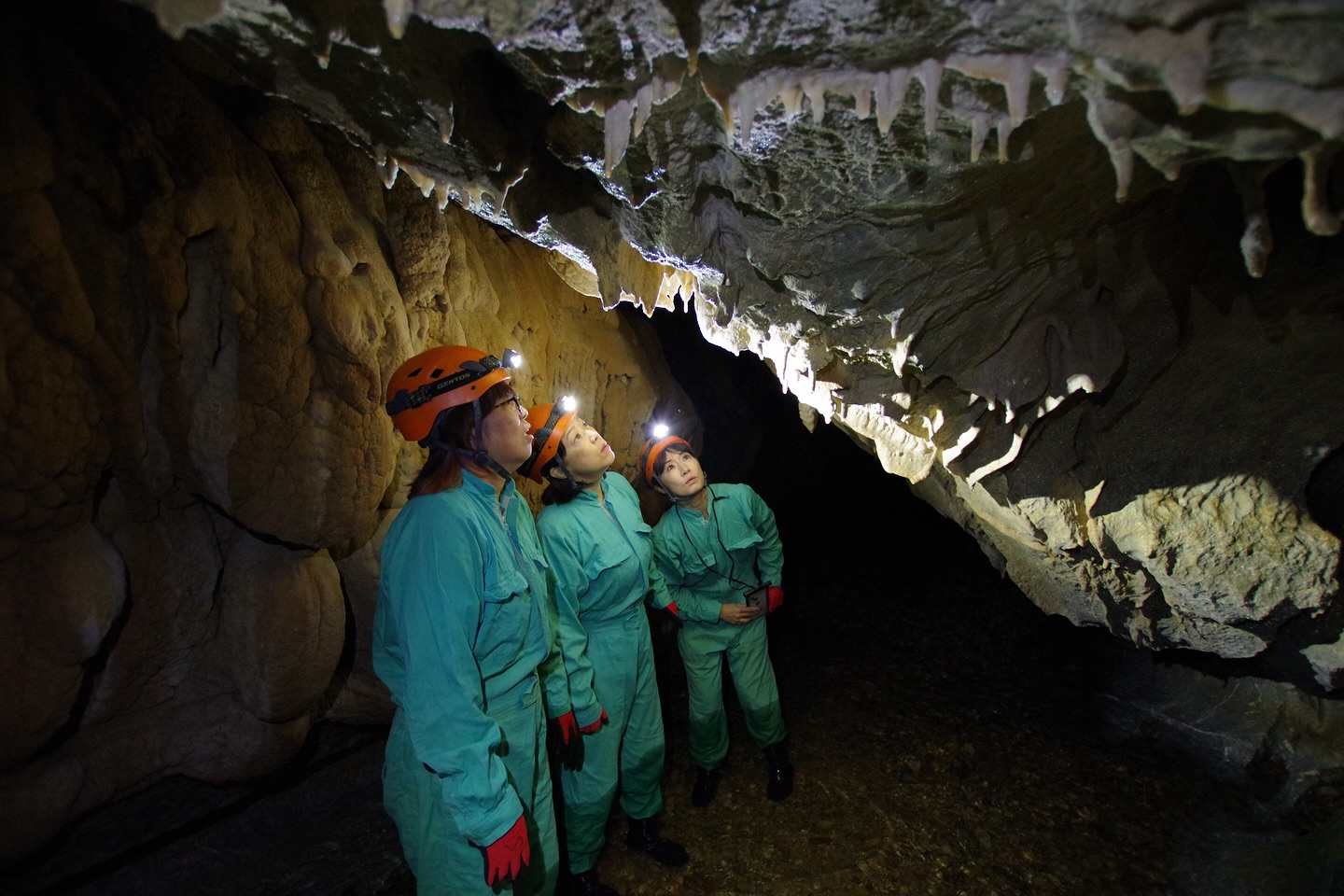 🎉今日は午前は ケイビングBコース、午後は ケイビングAコー...