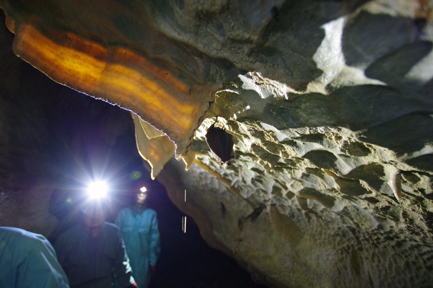 今日は ケイビングBコース！