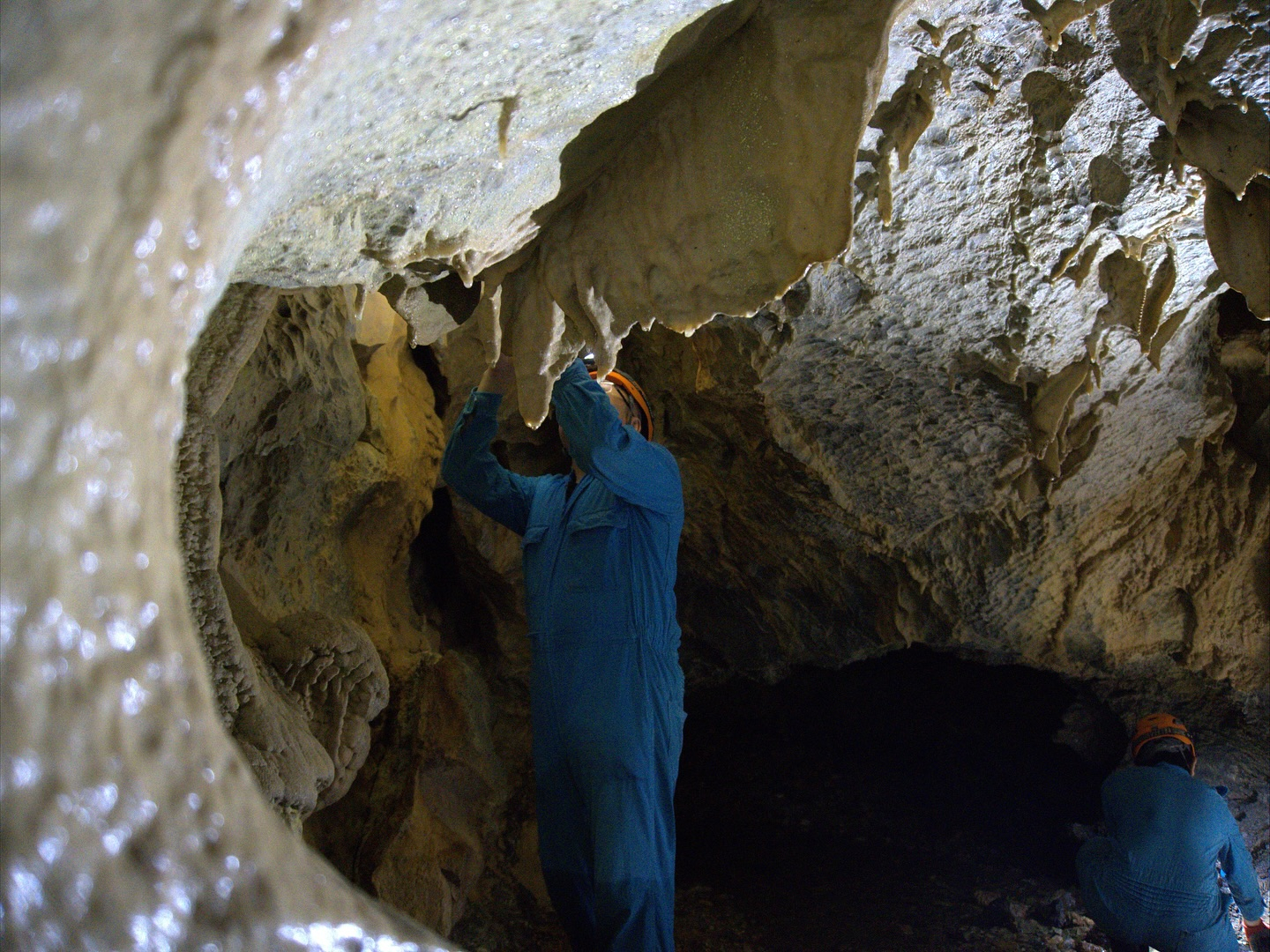 午後はケイビングBコース!🦇✨