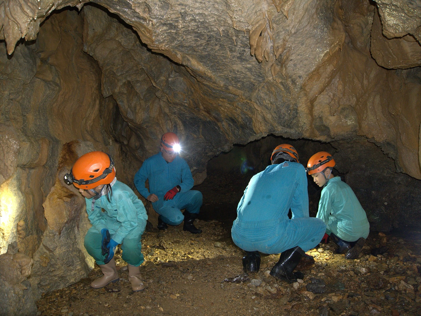 午後はケイビングBコース!🦇✨