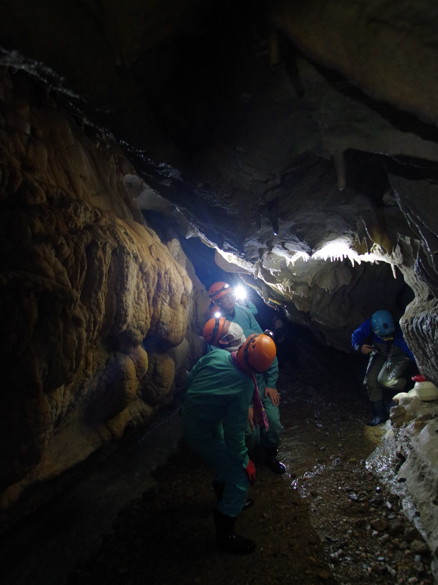 昨日は 大紀町文化遺産講座 の一環で、ケイビングBコースをご...