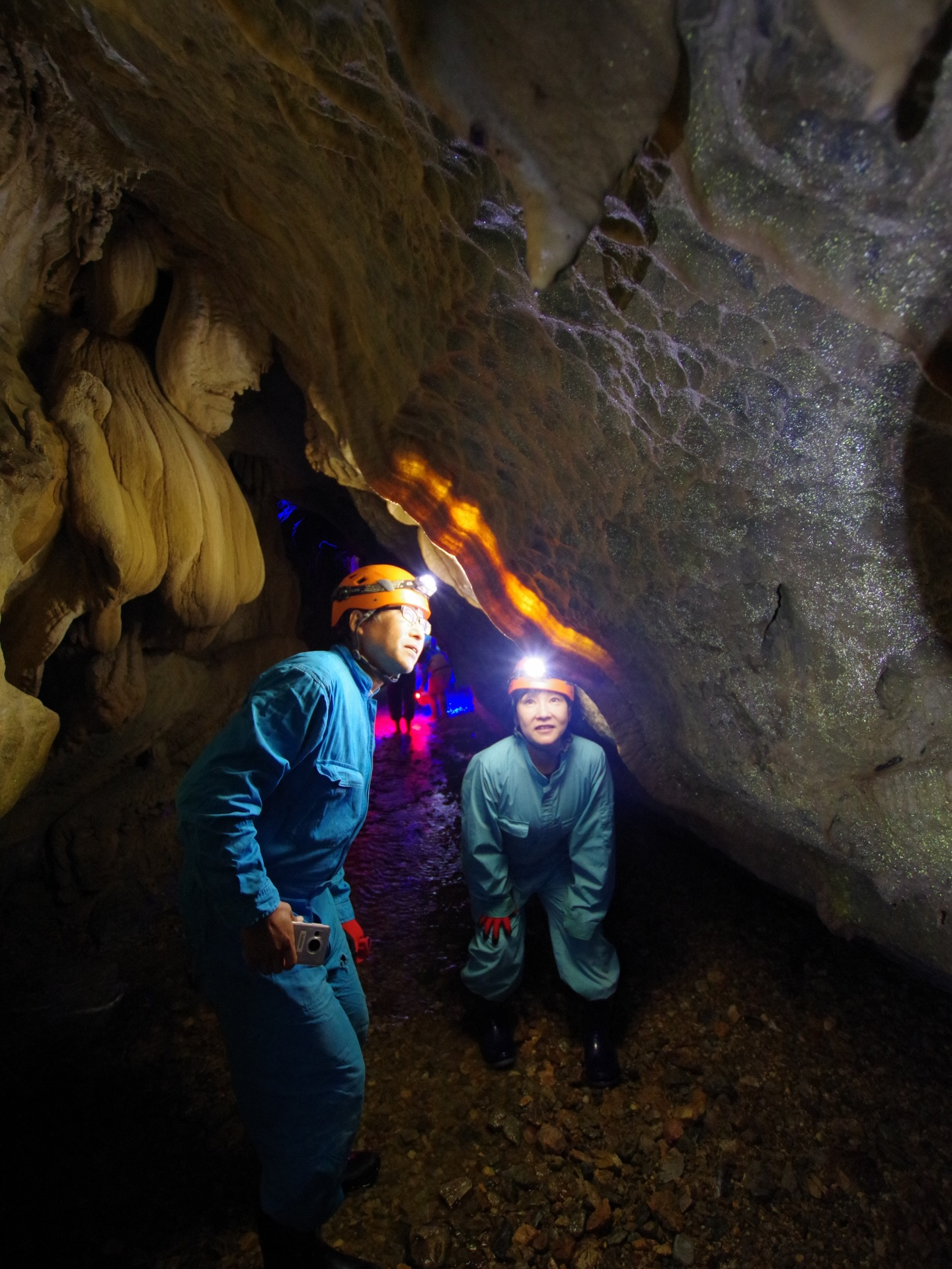 昨日は 大紀町文化遺産講座 の一環で、ケイビングBコースをご...