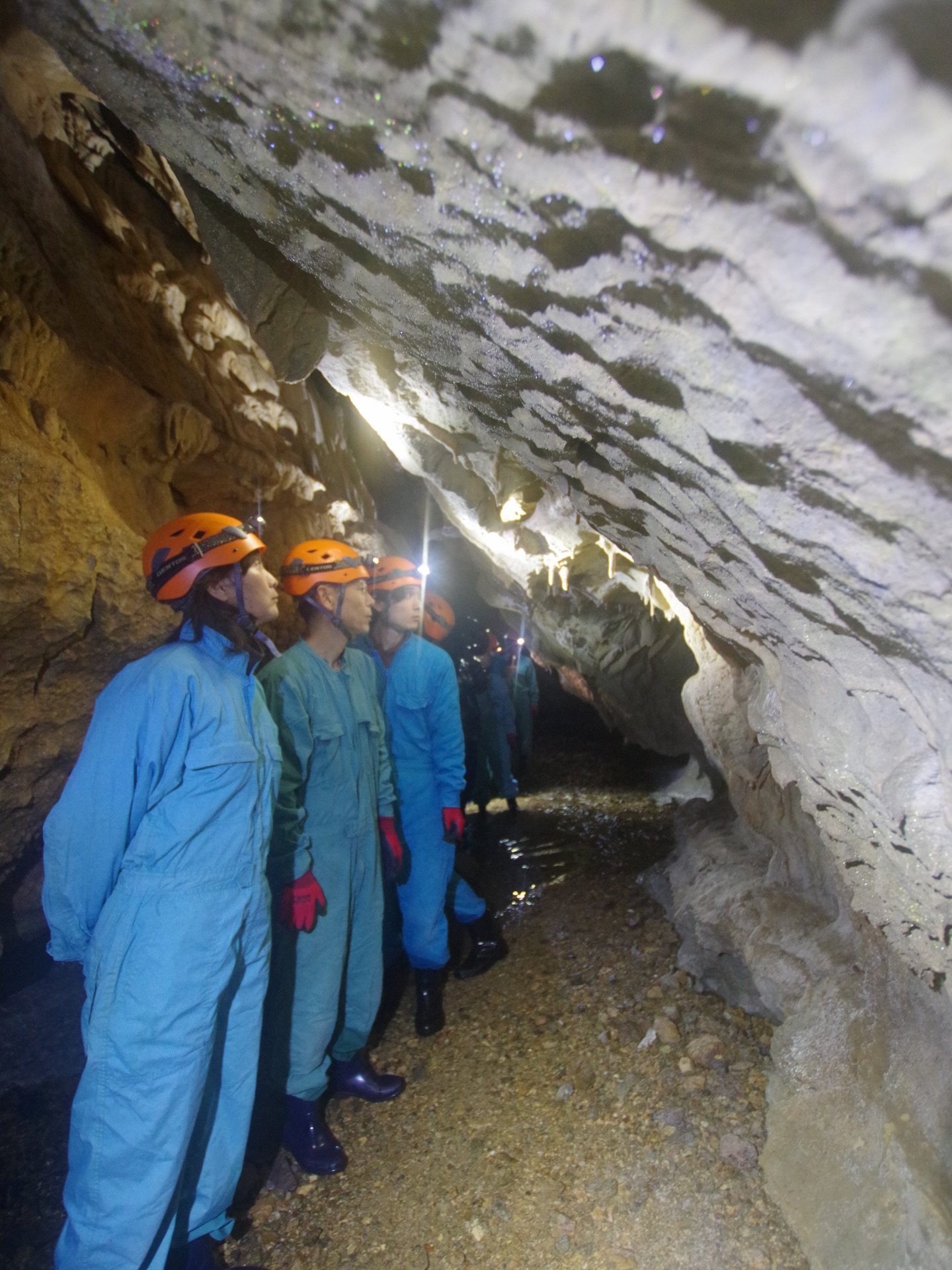 昨日は 大紀町文化遺産講座 の一環で、ケイビングBコースをご...