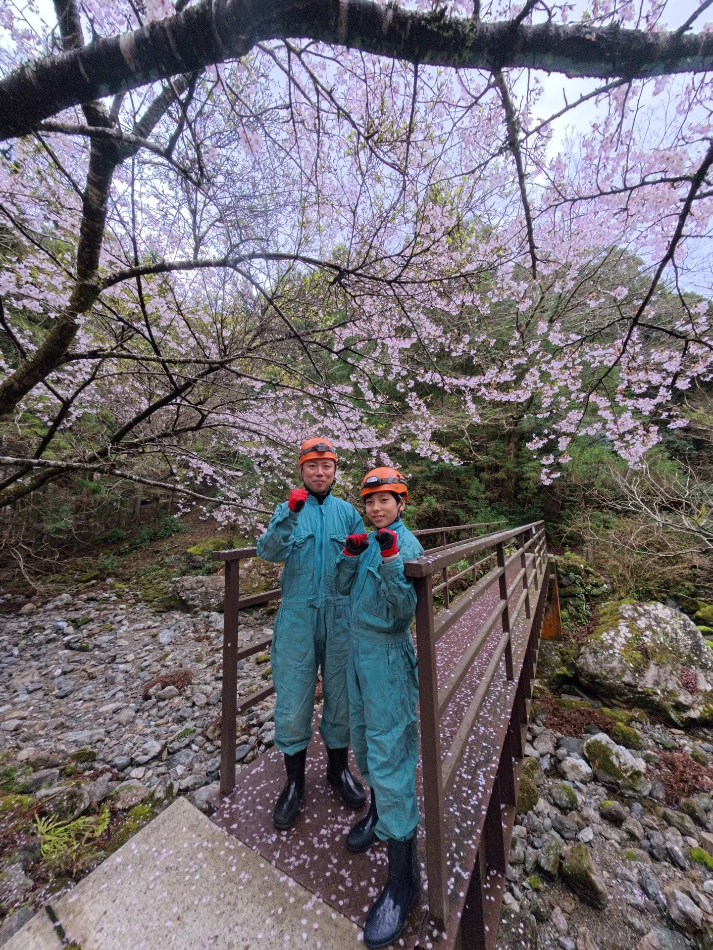 šæä»ę„ćććć¢ć¼ć¹ćæć¼ćļ¼