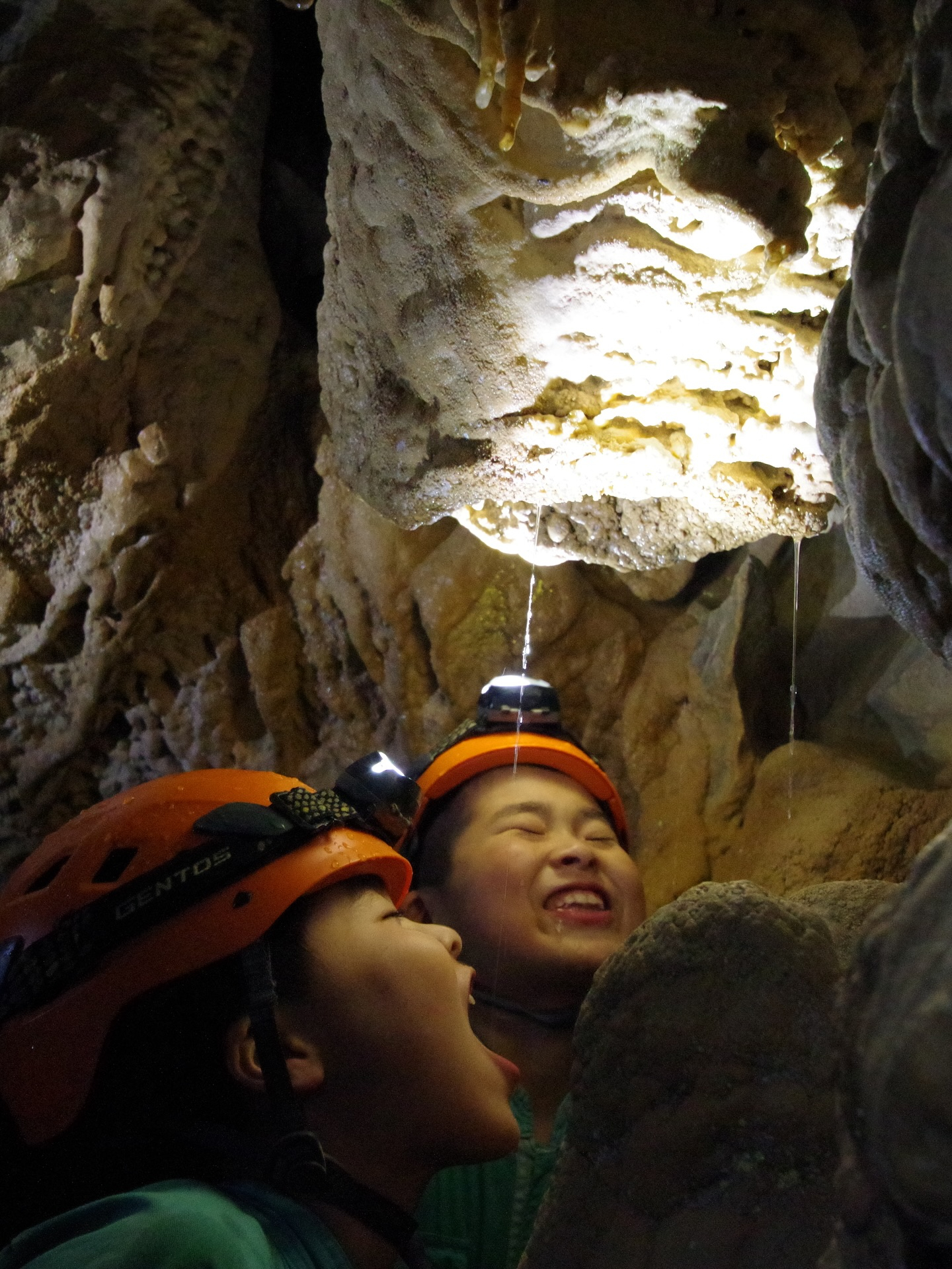 šæä»ę„ćććć¢ć¼ć¹ćæć¼ćļ¼