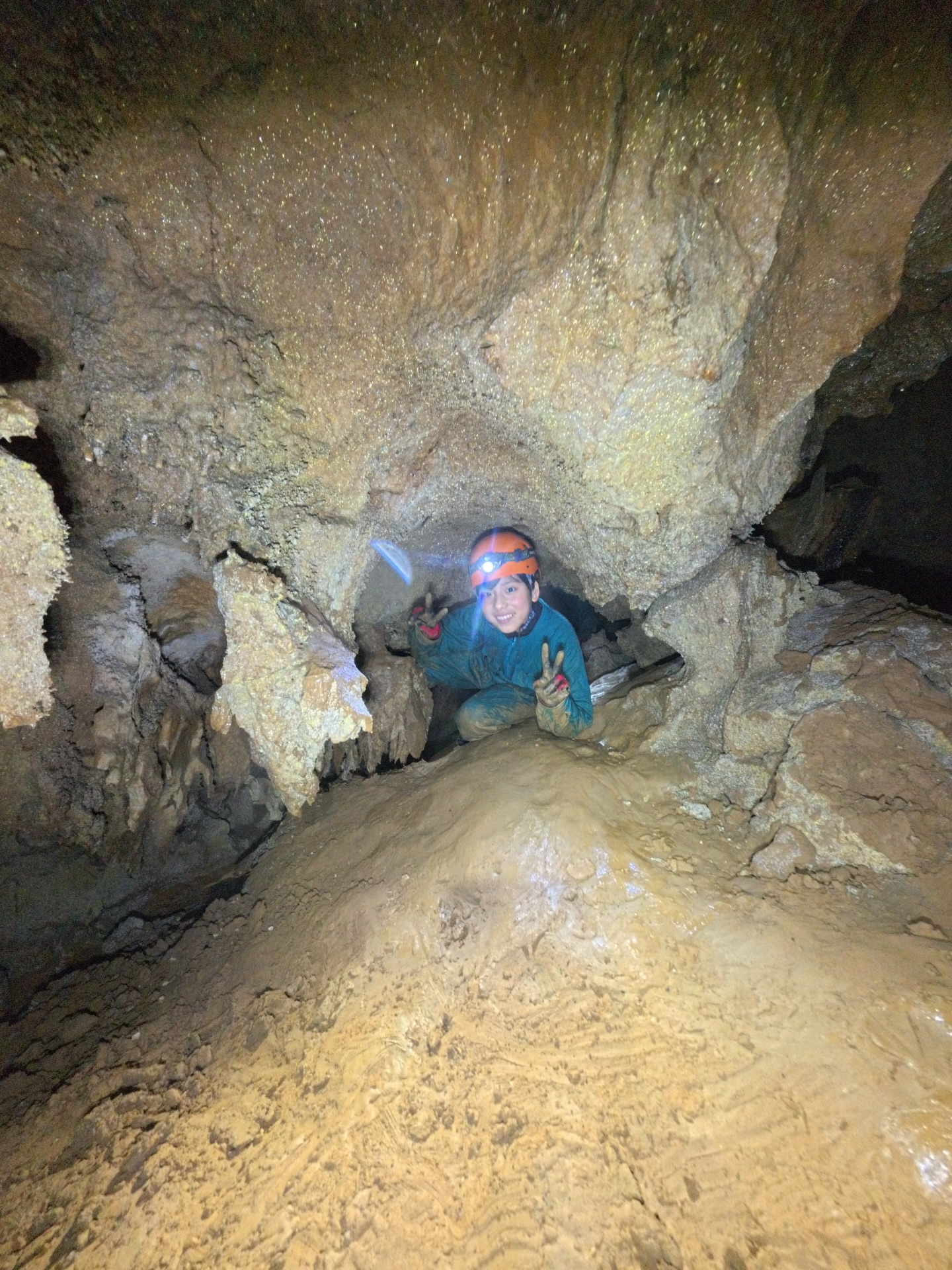 šæä»ę„ćććć¢ć¼ć¹ćæć¼ćļ¼