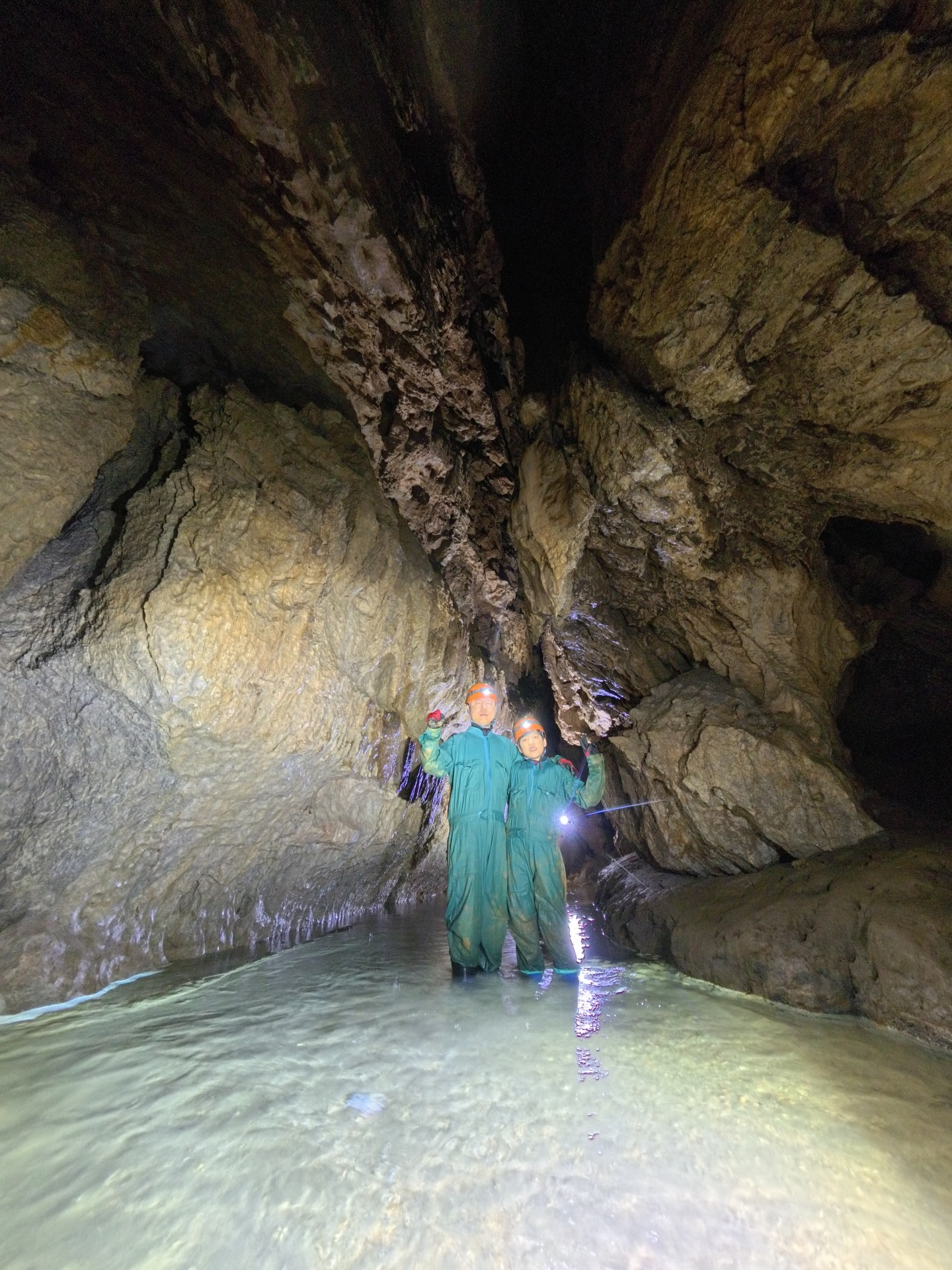 šæä»ę„ćććć¢ć¼ć¹ćæć¼ćļ¼