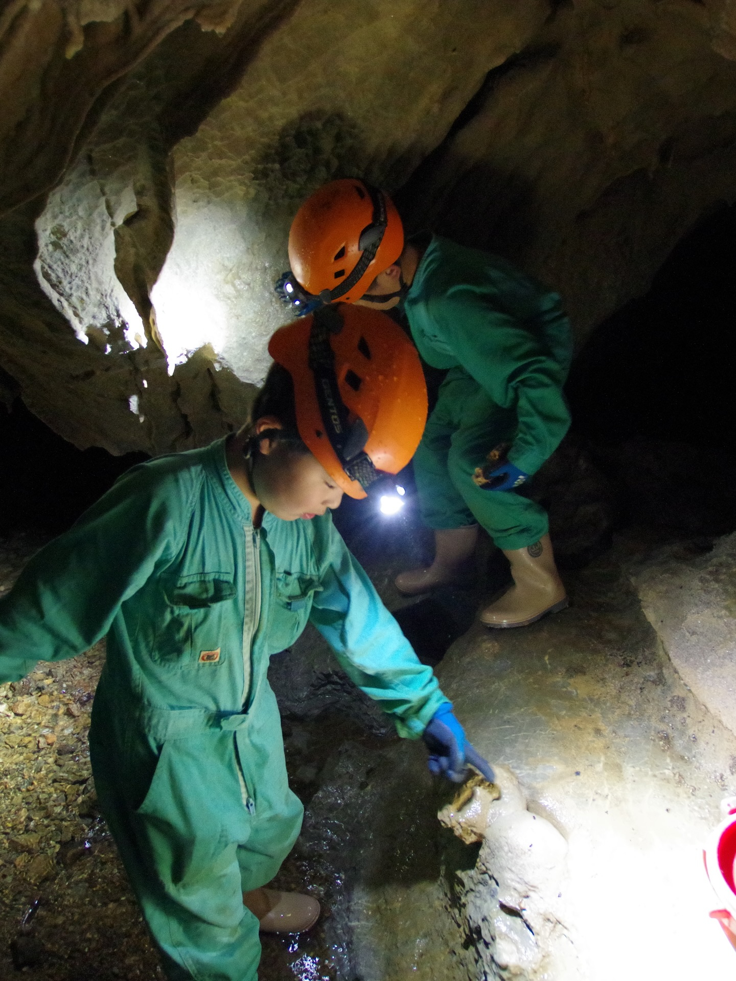 šæä»ę„ćććć¢ć¼ć¹ćæć¼ćļ¼