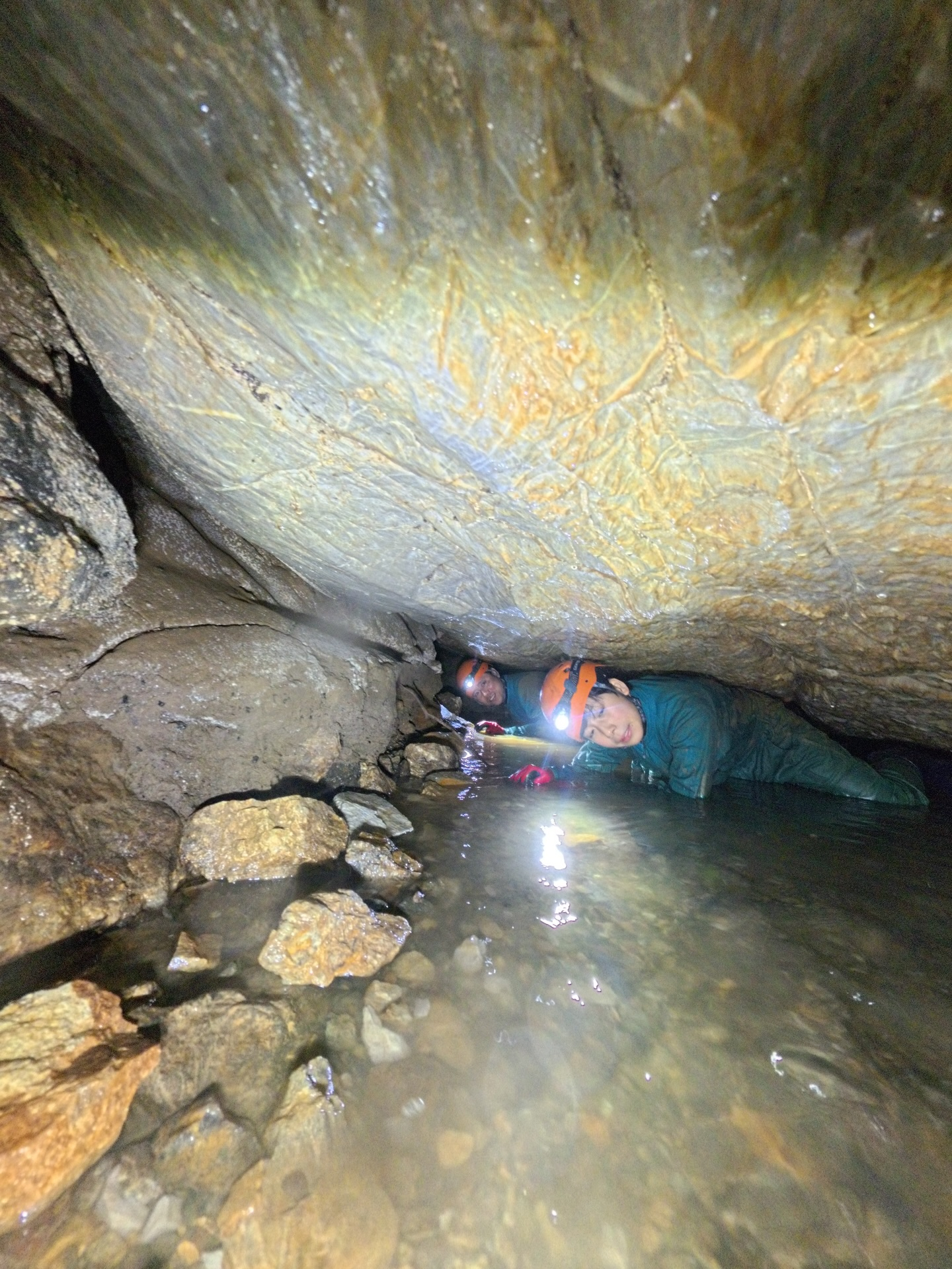 šæä»ę„ćććć¢ć¼ć¹ćæć¼ćļ¼