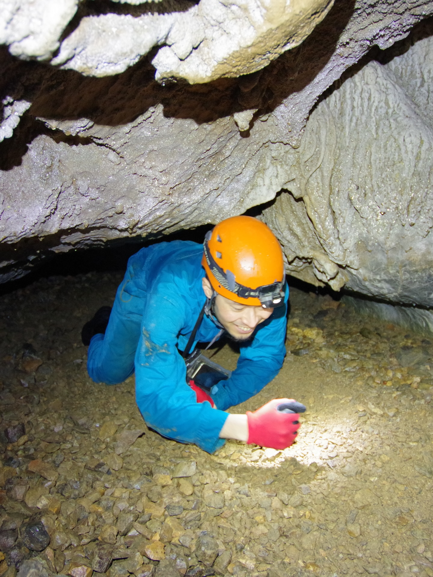 šæä»ę„ćććć¢ć¼ć¹ćæć¼ćļ¼