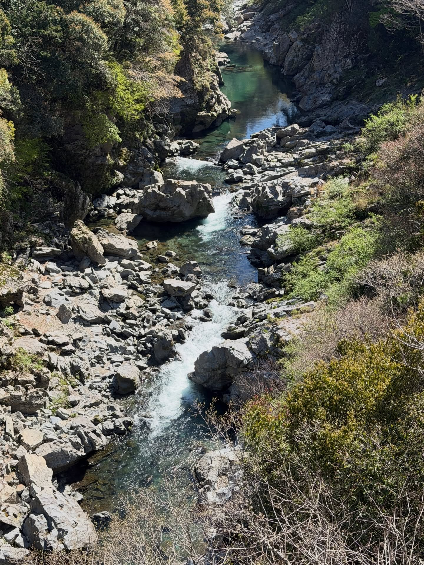 ☀️川遊びシーズン到来!