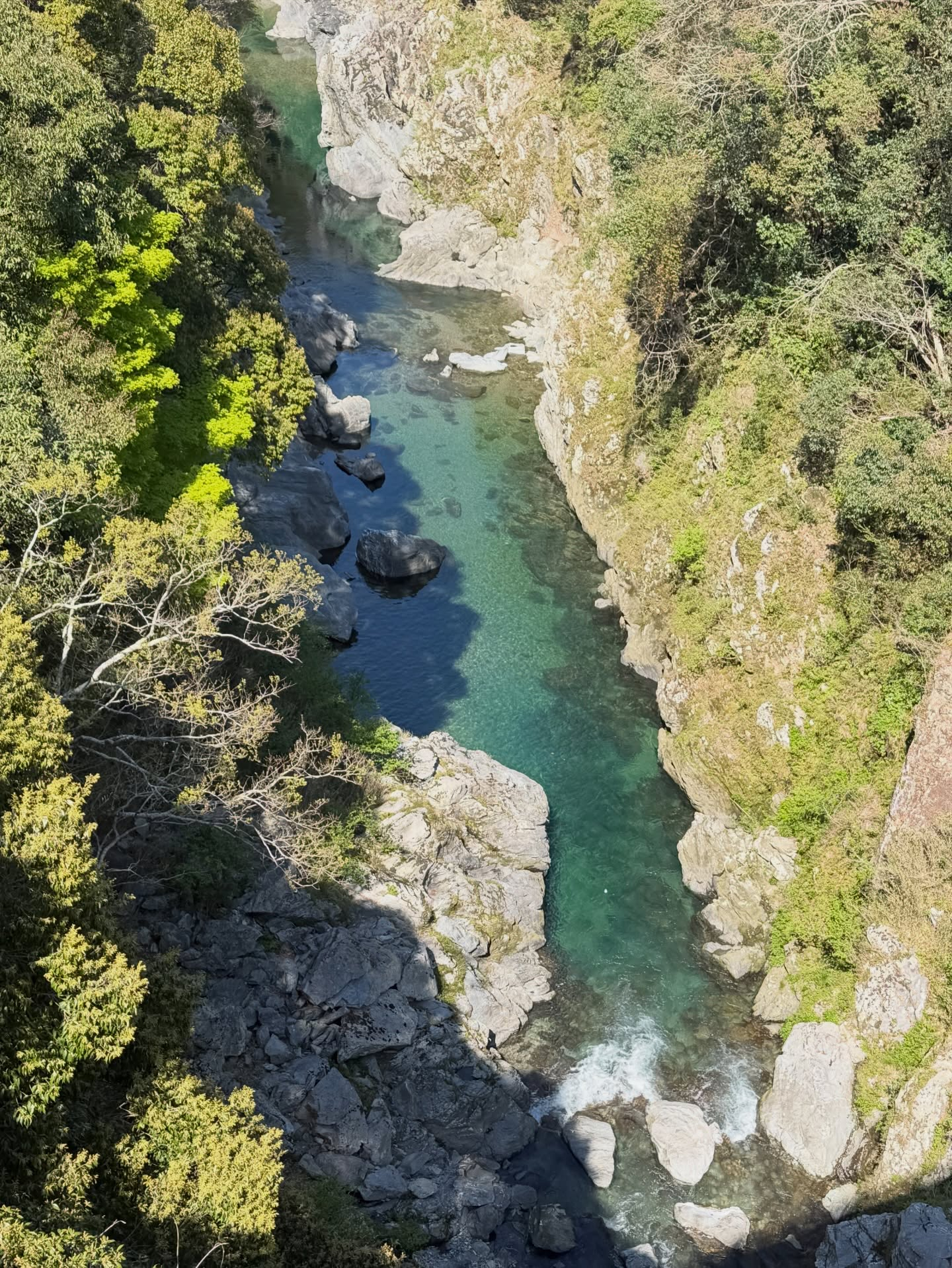 ☀️川遊びシーズン到来!