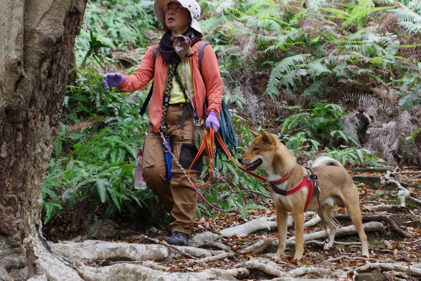 🐕🌿 今日はモニターツアー！