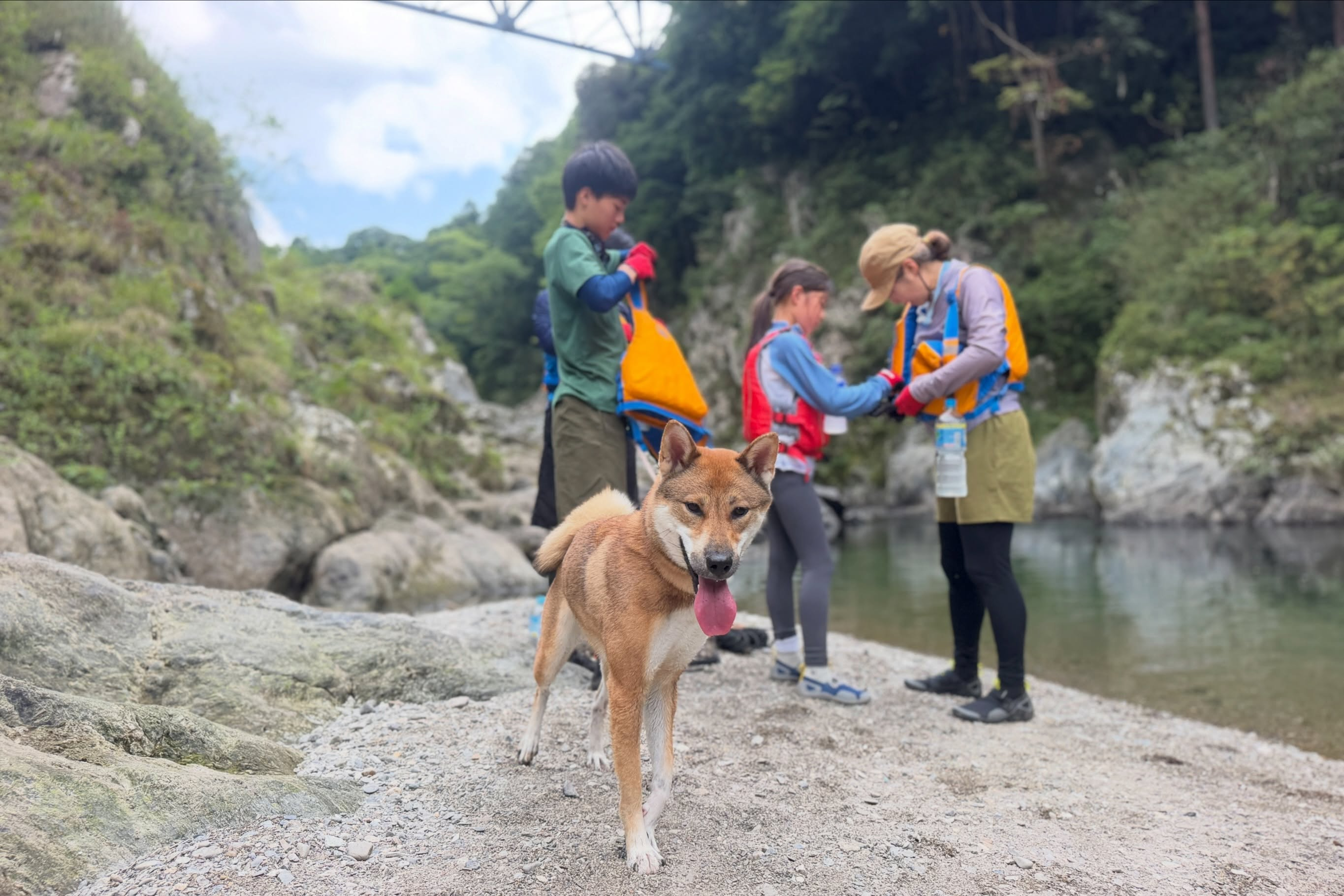今日はドッグラフト!🐕🚣♀️