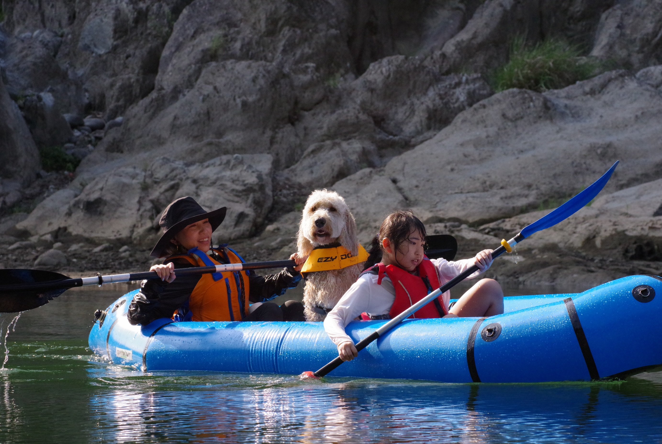 今日はドッグラフト！🐕🚣‍♂️