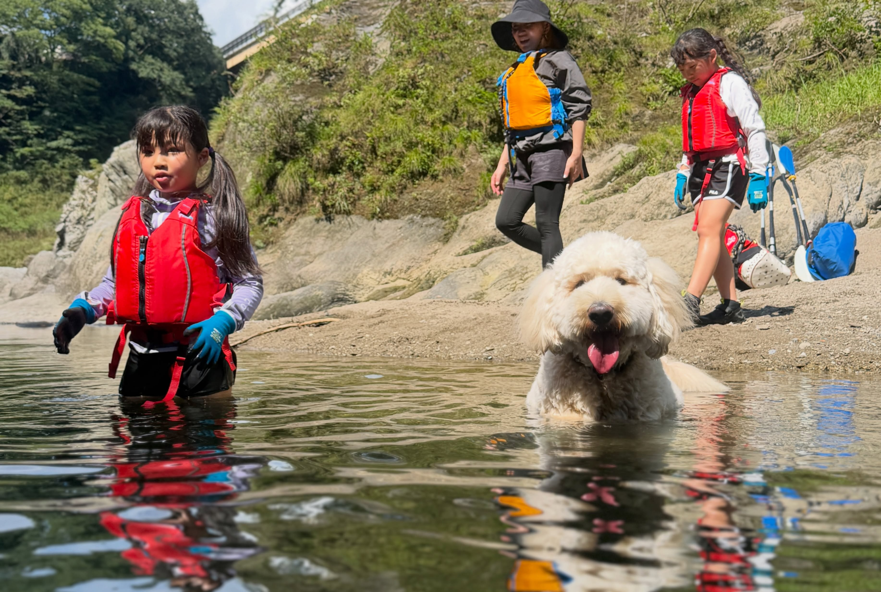 今日はドッグラフト！🐕🚣‍♂️