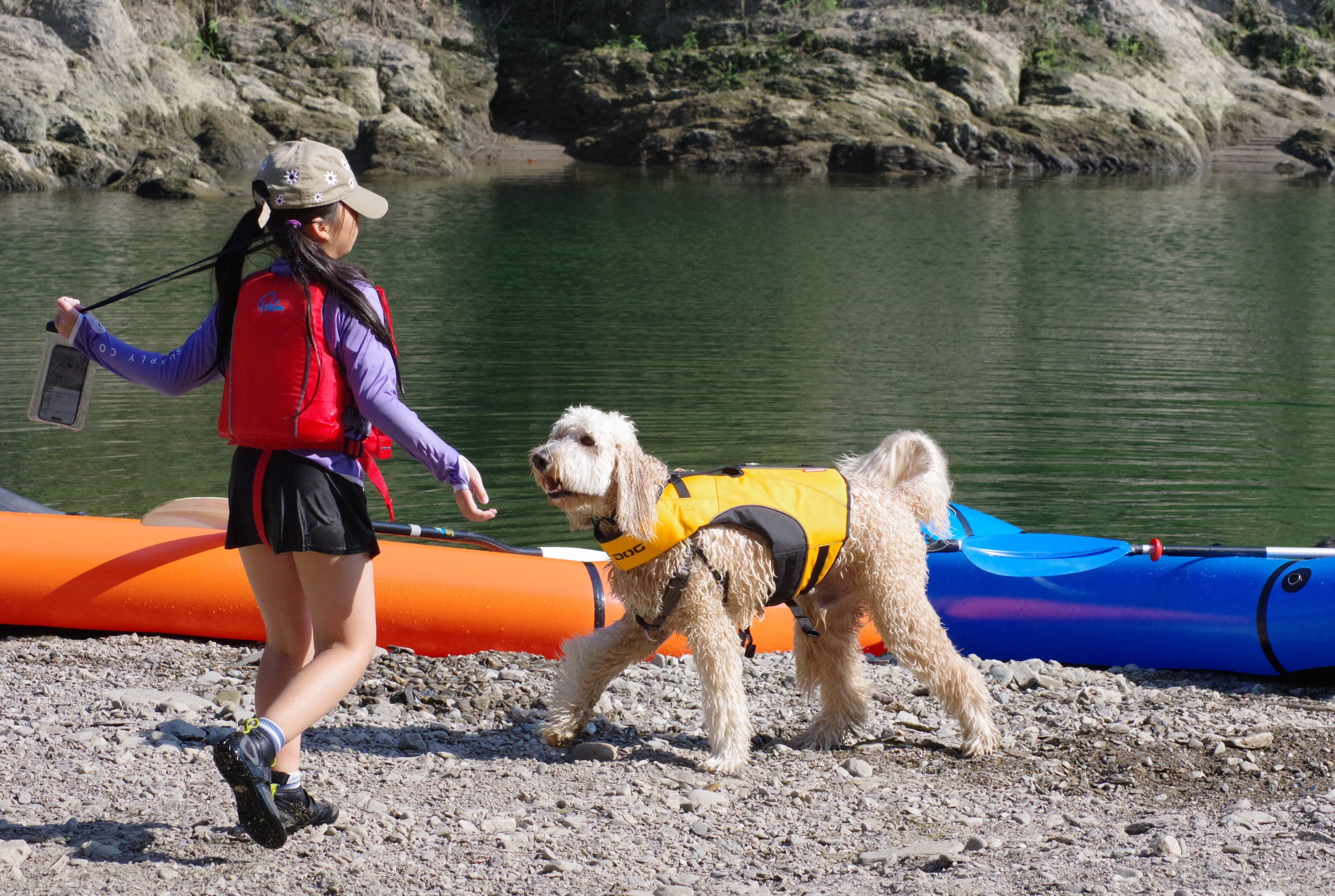 今日はドッグラフト！🐕🚣‍♂️