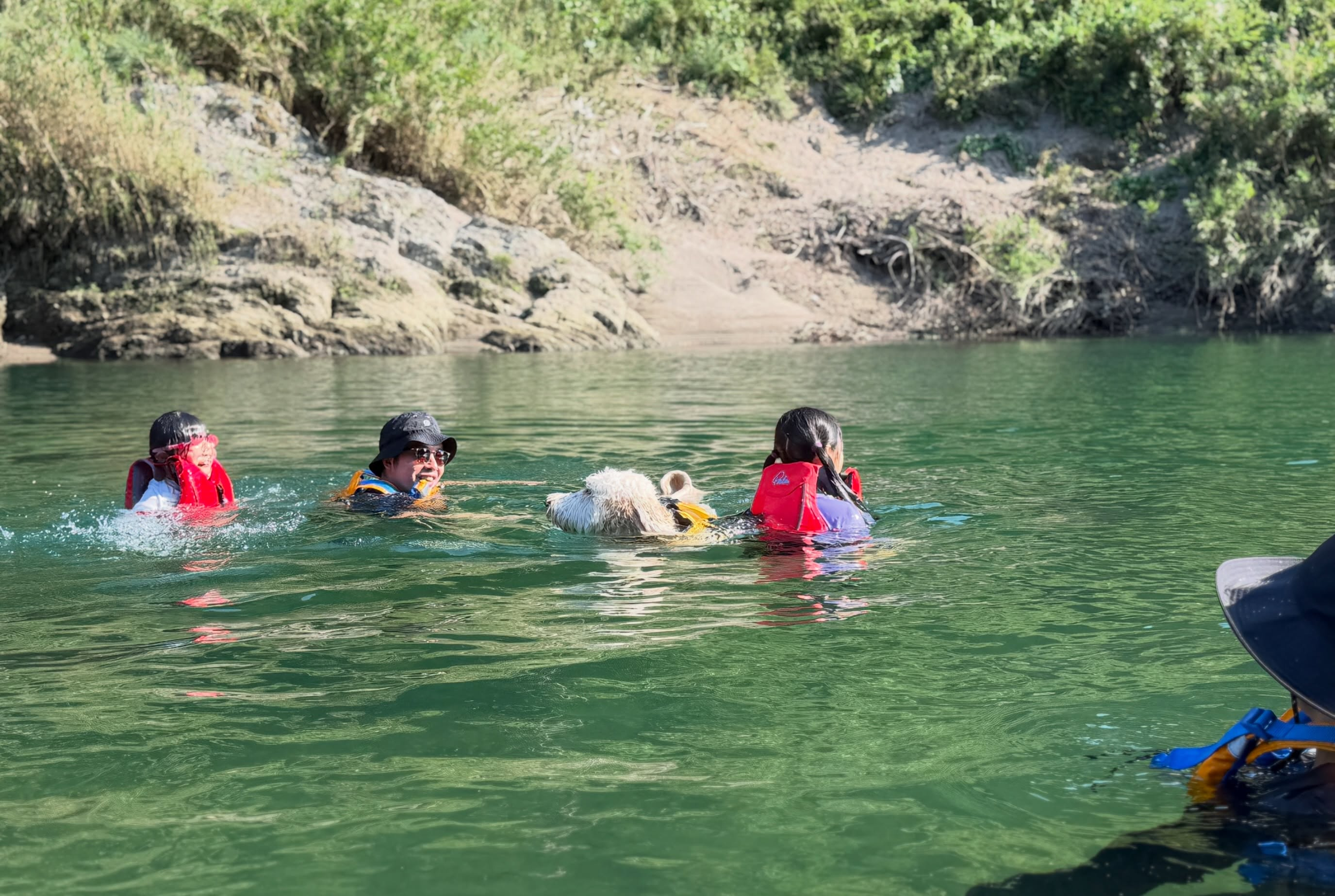 今日はドッグラフト！🐕🚣‍♂️