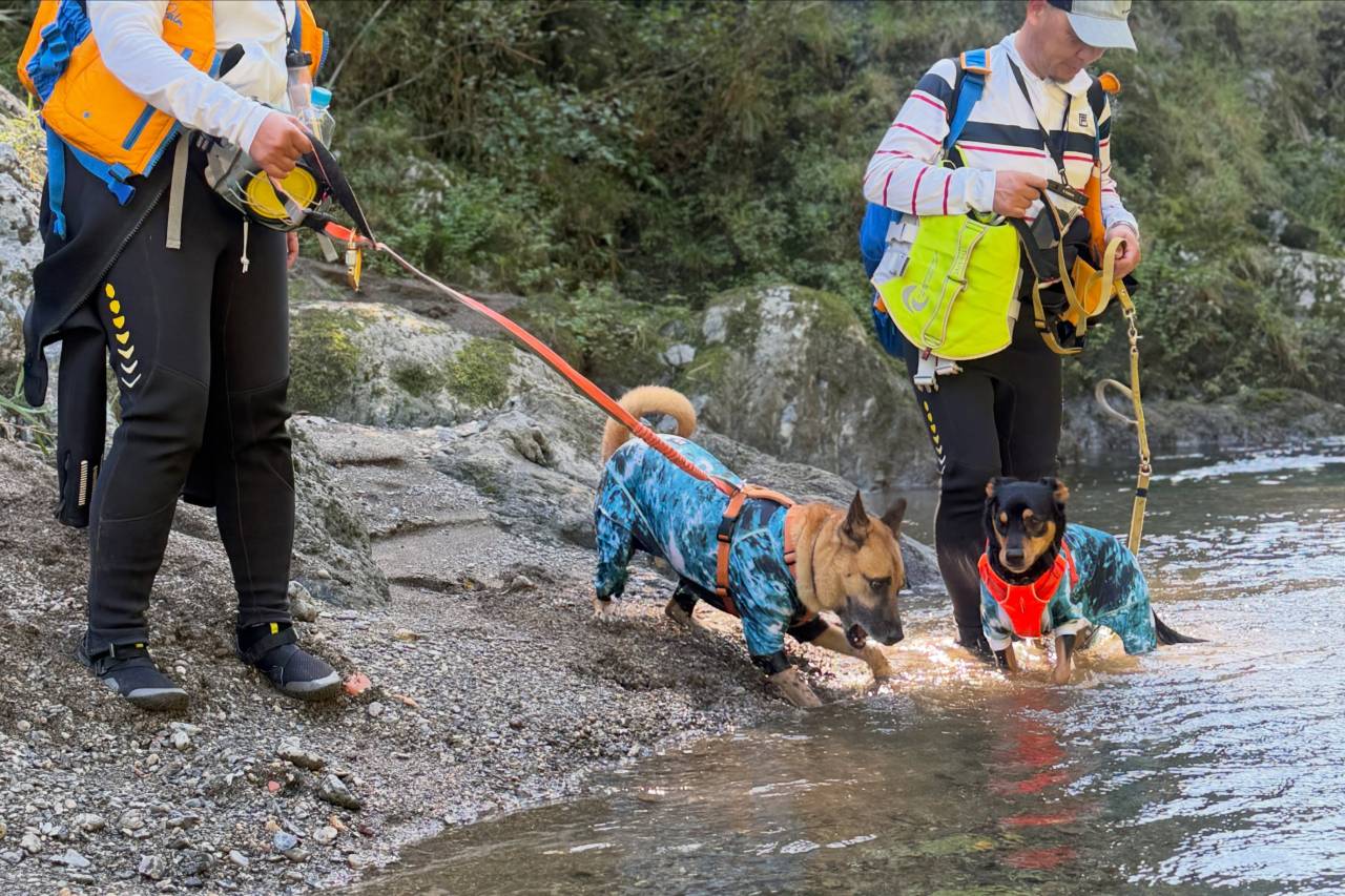 今日は午前ドッグラフト、午後はパックラフトツアーでした！🐶🛶...