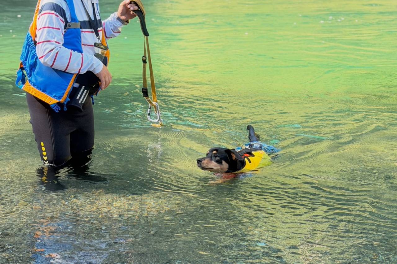今日は午前ドッグラフト、午後はパックラフトツアーでした！🐶🛶...